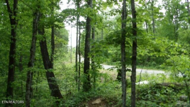 837 Rock Springs Rd Property Photo 17