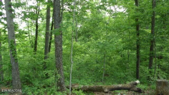 837 Rock Springs Rd Property Photo 18