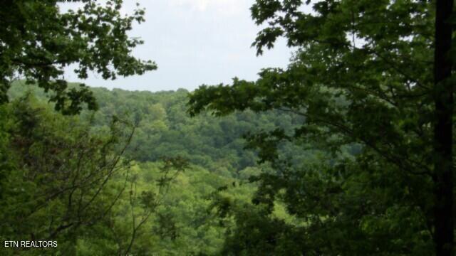 837 Rock Springs Rd Property Photo 28