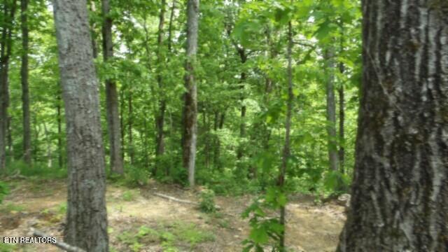 837 Rock Springs Rd Property Photo 32