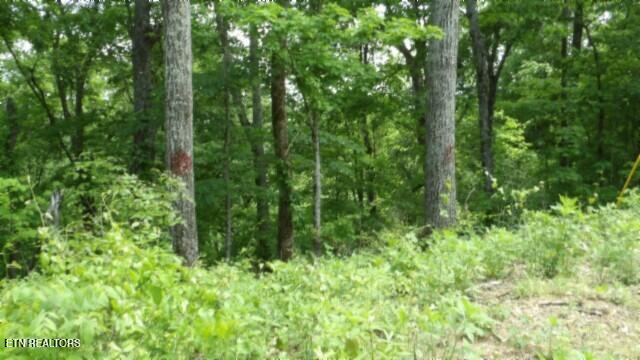837 Rock Springs Rd Property Photo 35
