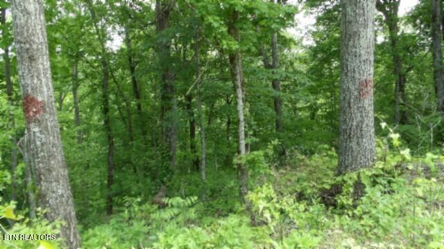 837 Rock Springs Rd Property Photo 36