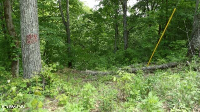 837 Rock Springs Rd Property Photo 38