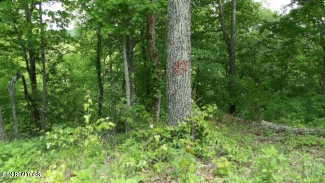 837 Rock Springs Rd Property Photo 39