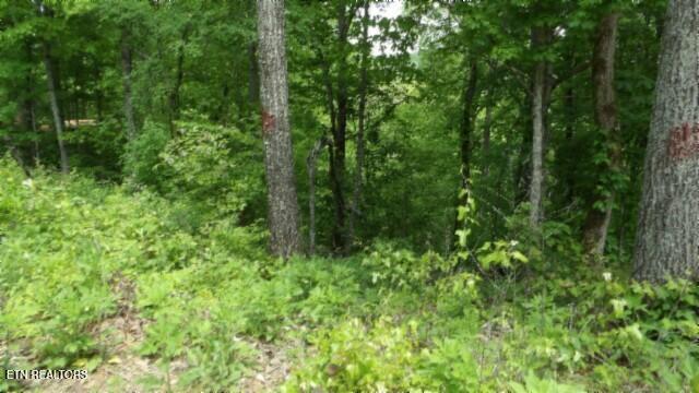 837 Rock Springs Rd Property Photo 40