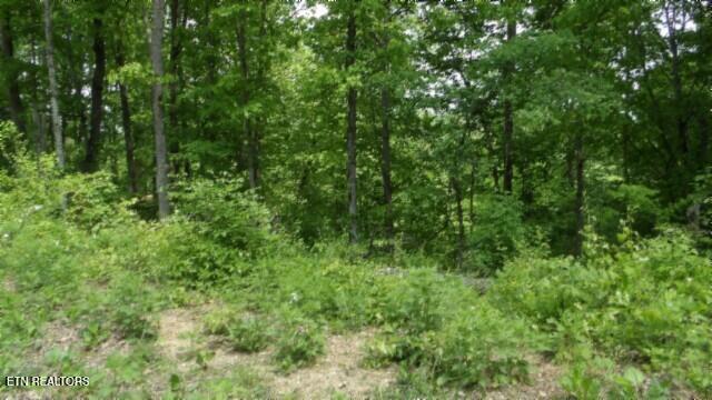 837 Rock Springs Rd Property Photo 41