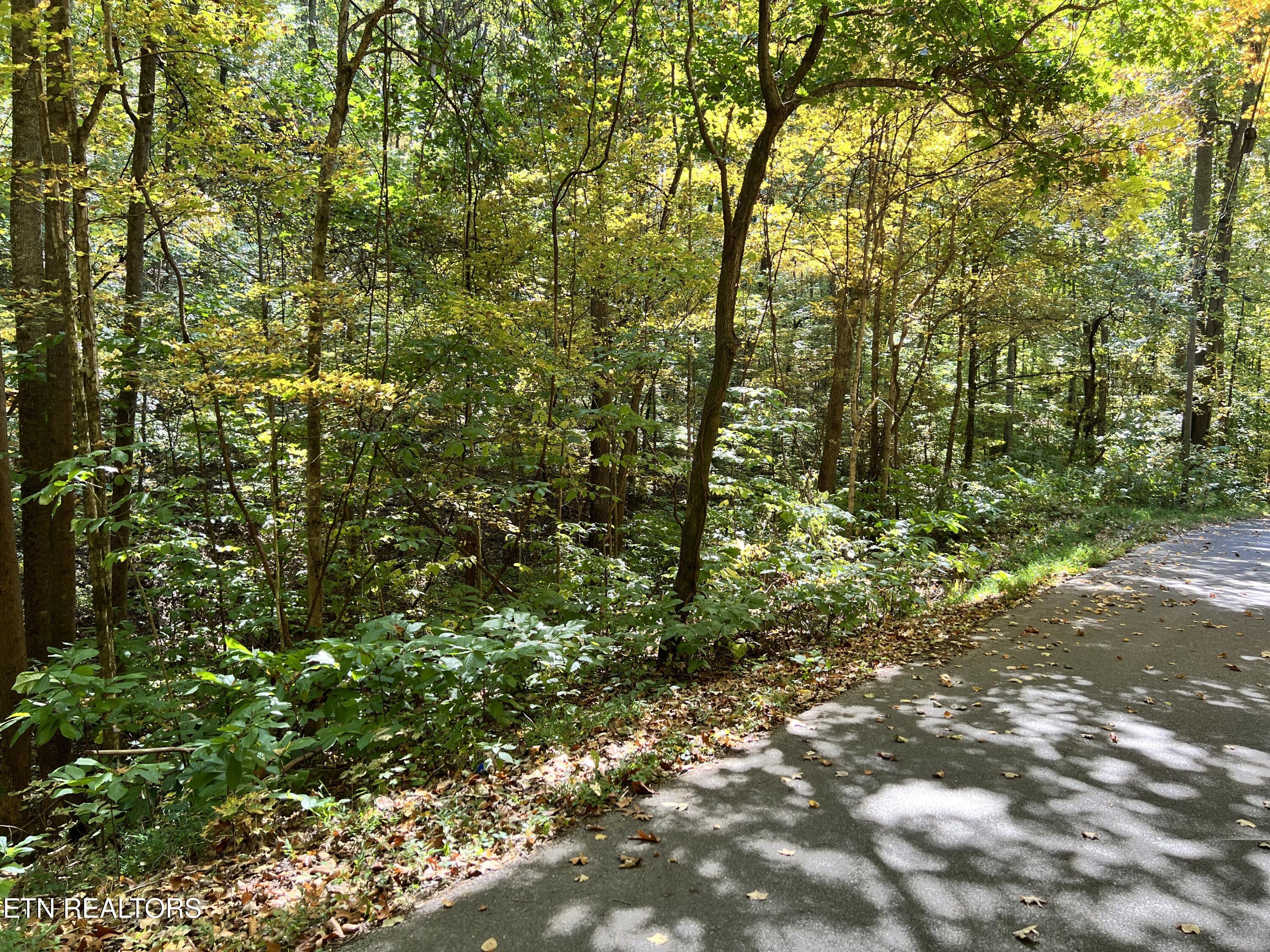 1875 Dyer Hollow Rd Property Photo 2