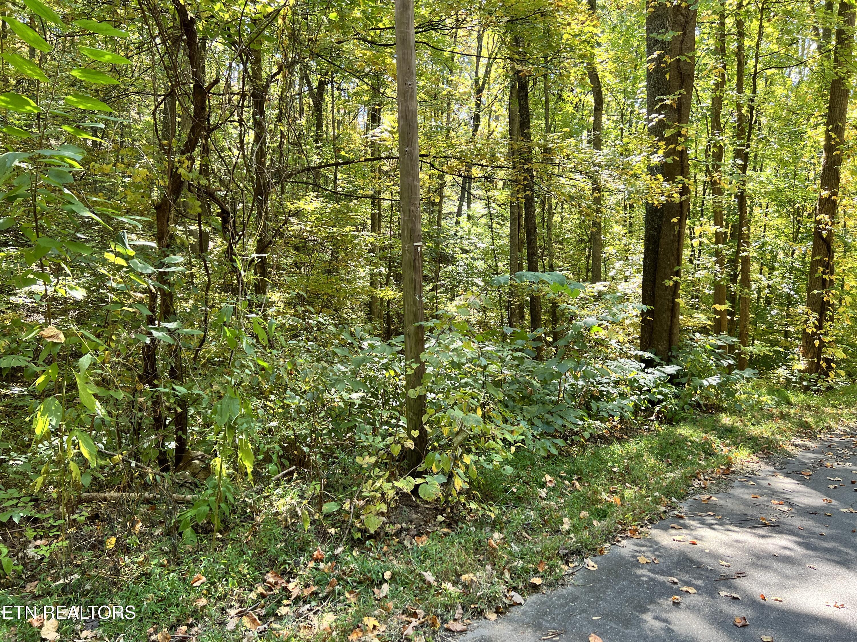 1875 Dyer Hollow Rd Property Photo 6
