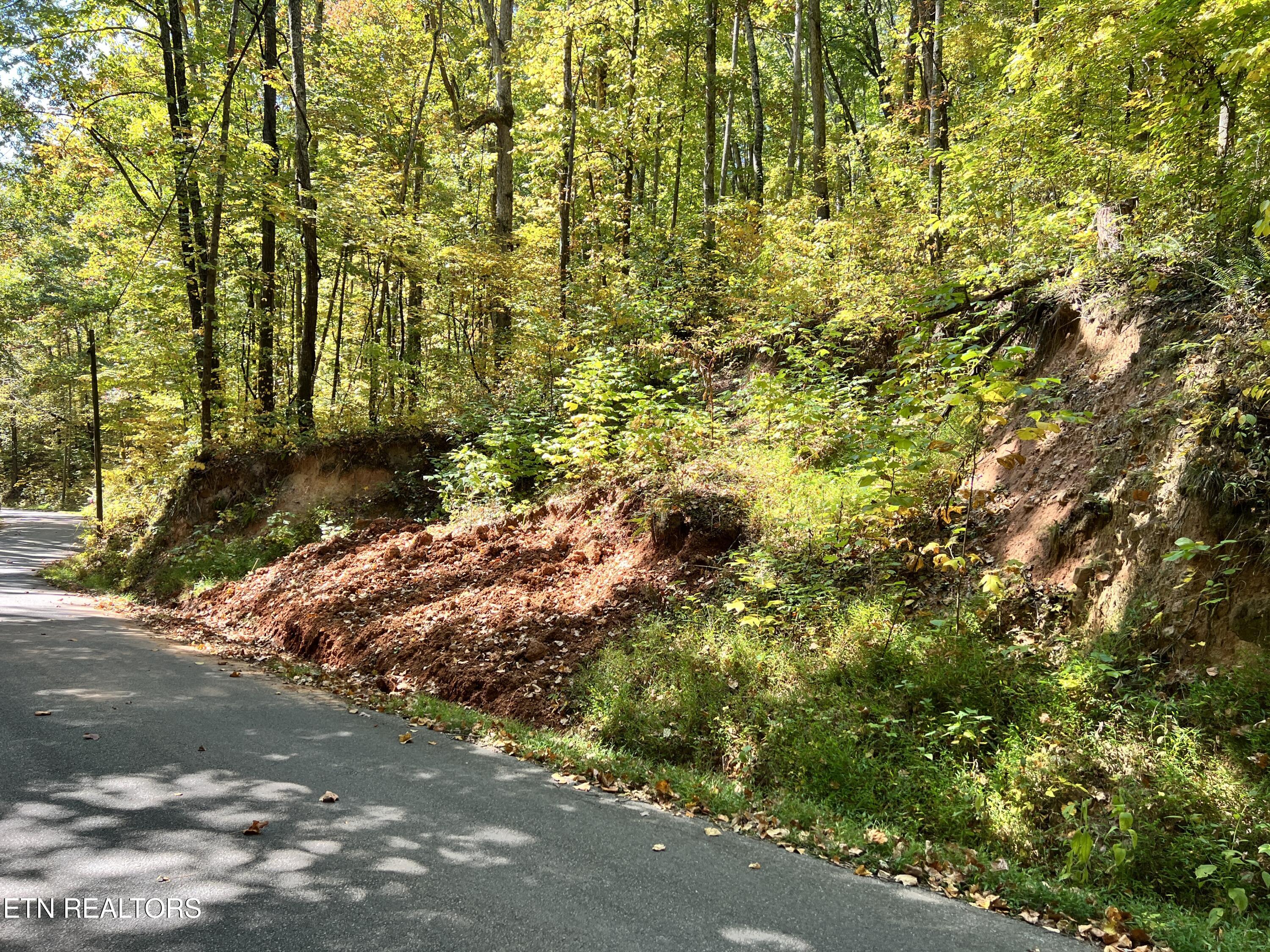 1875 Dyer Hollow Rd Property Photo 10