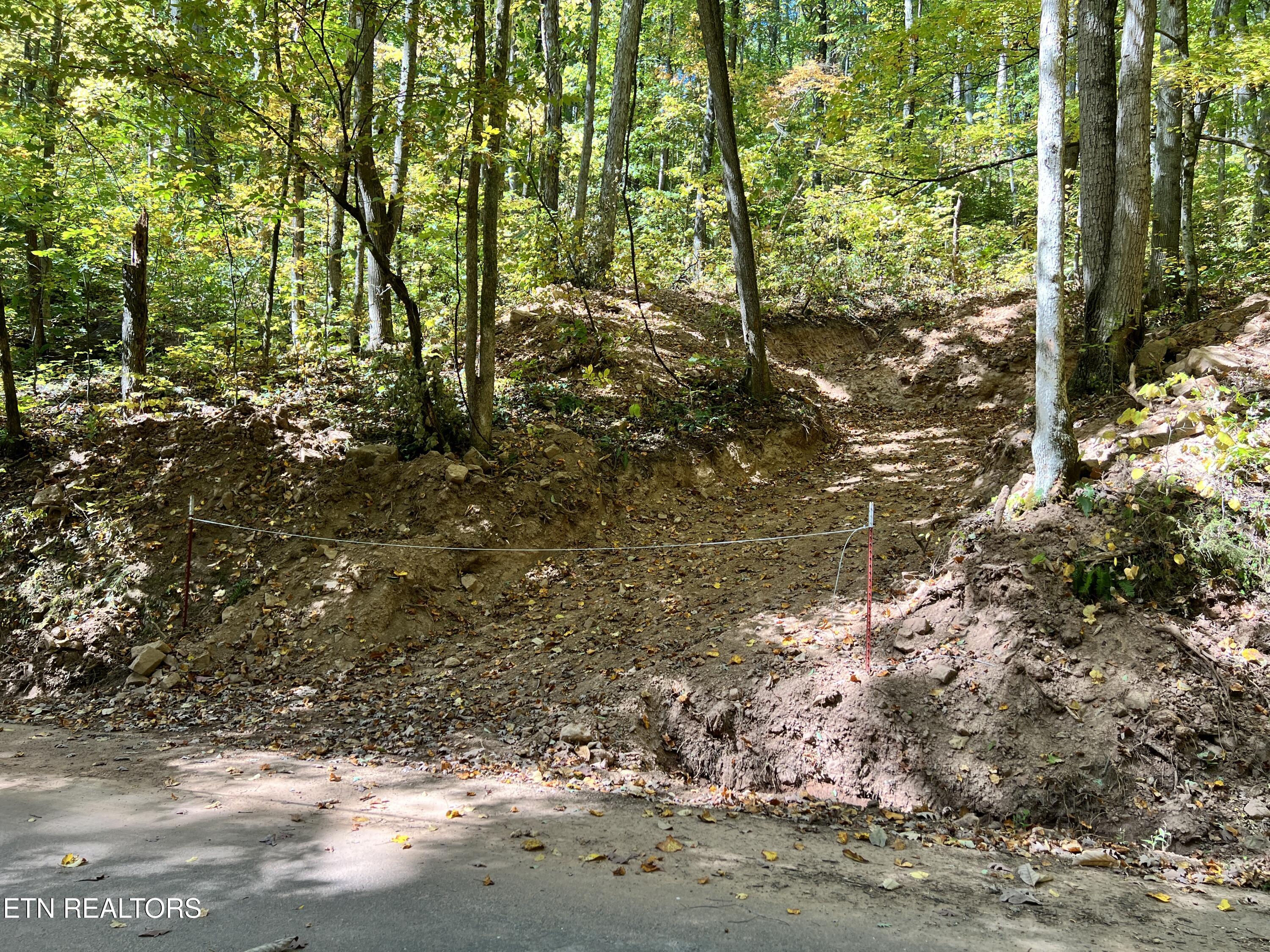 1875 Dyer Hollow Rd Property Photo 11