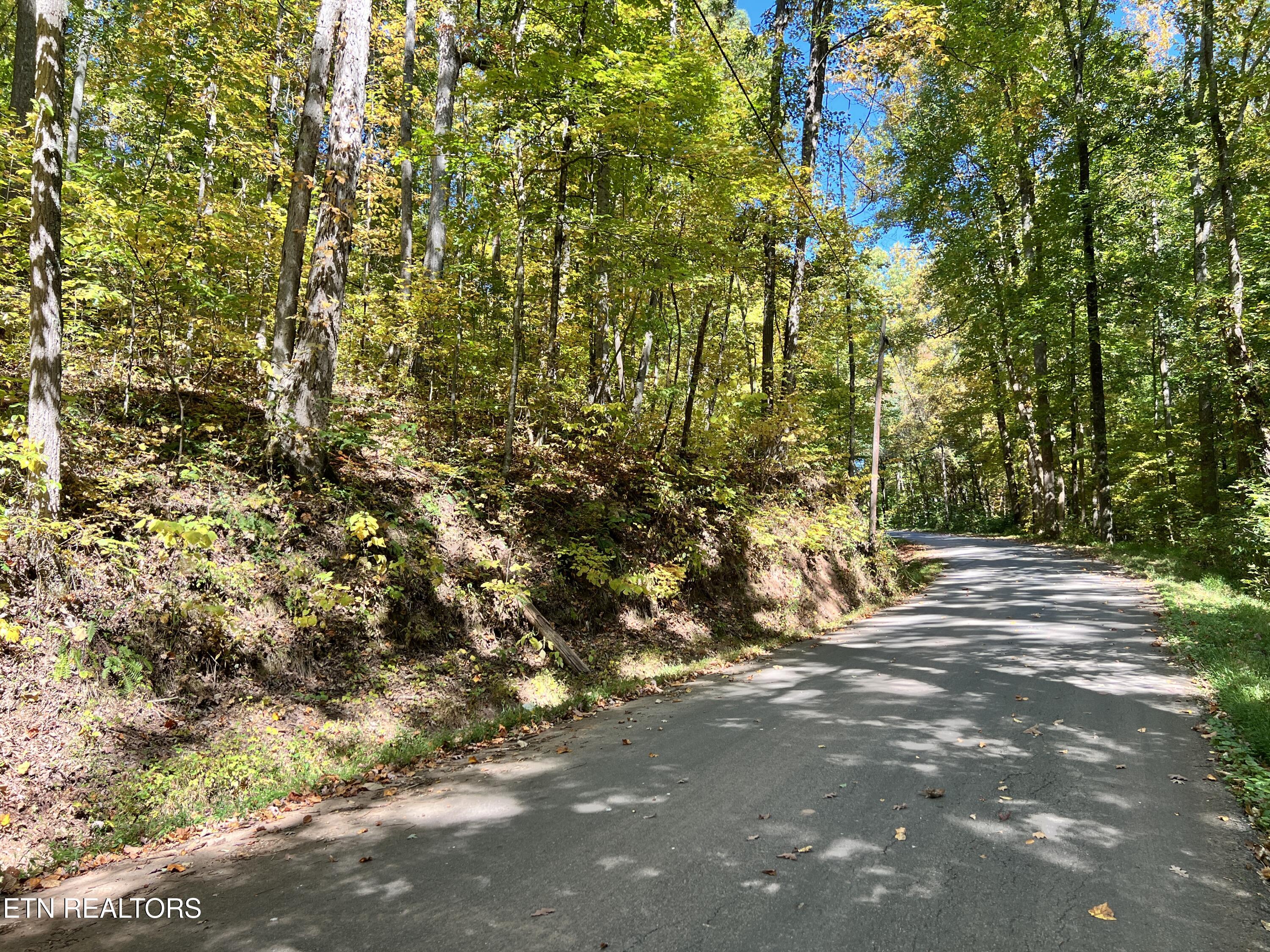 1875 Dyer Hollow Rd Property Photo 12