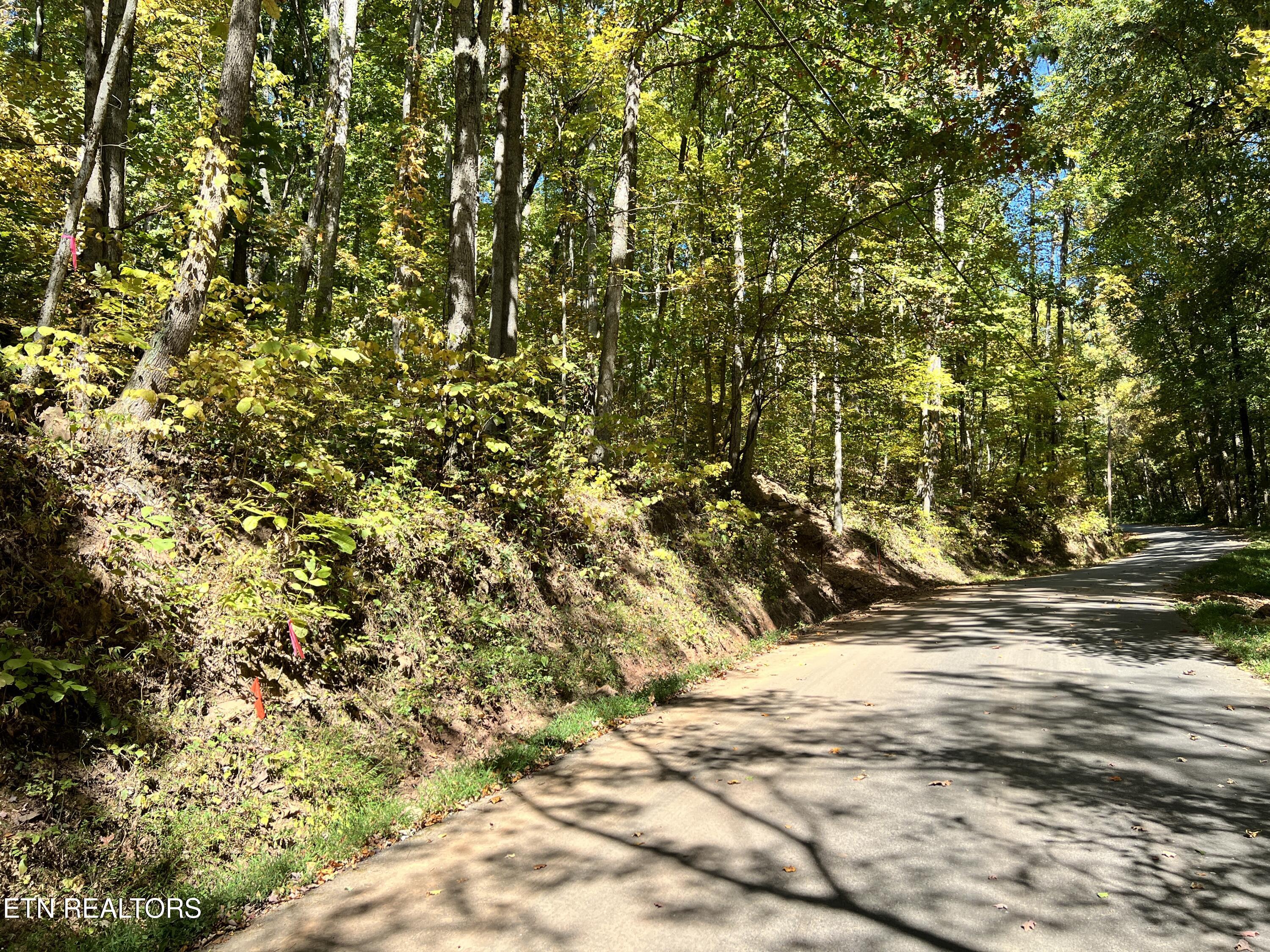 1875 Dyer Hollow Rd Property Photo 13