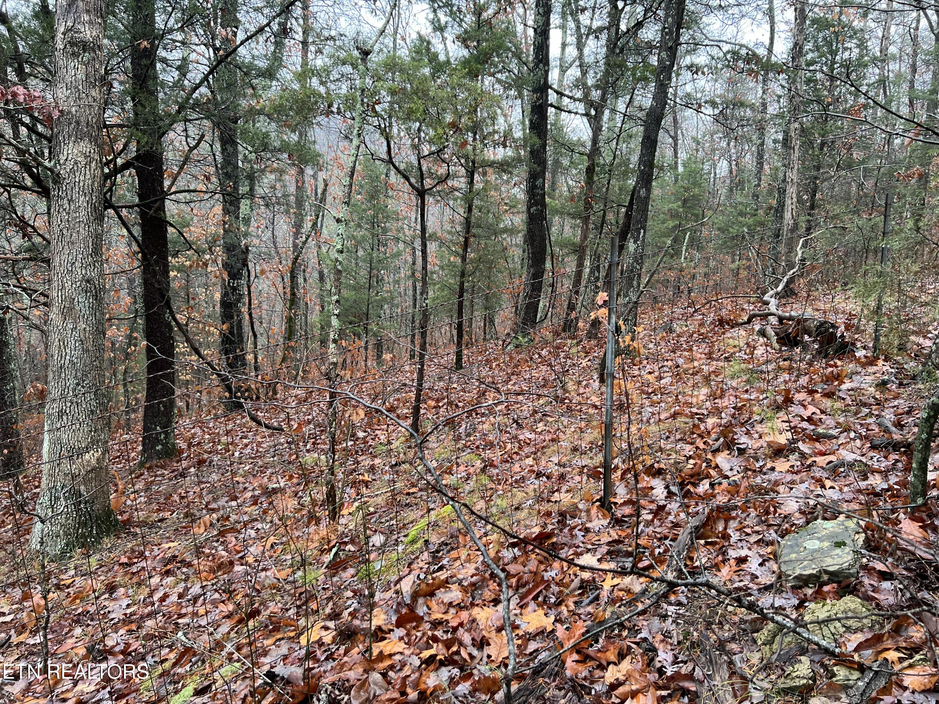 1875 Dyer Hollow Rd Property Photo 14