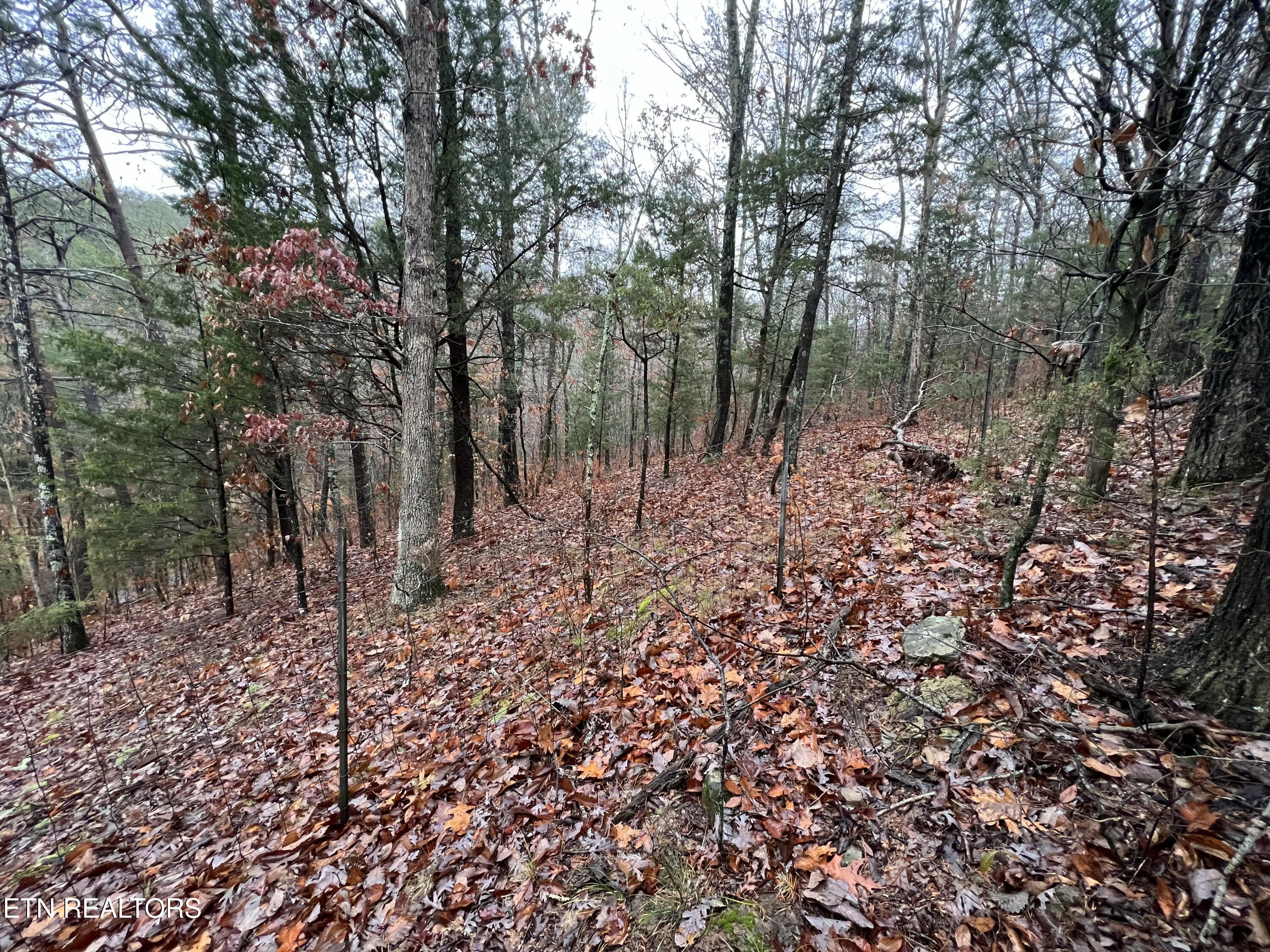 1875 Dyer Hollow Rd Property Photo 15