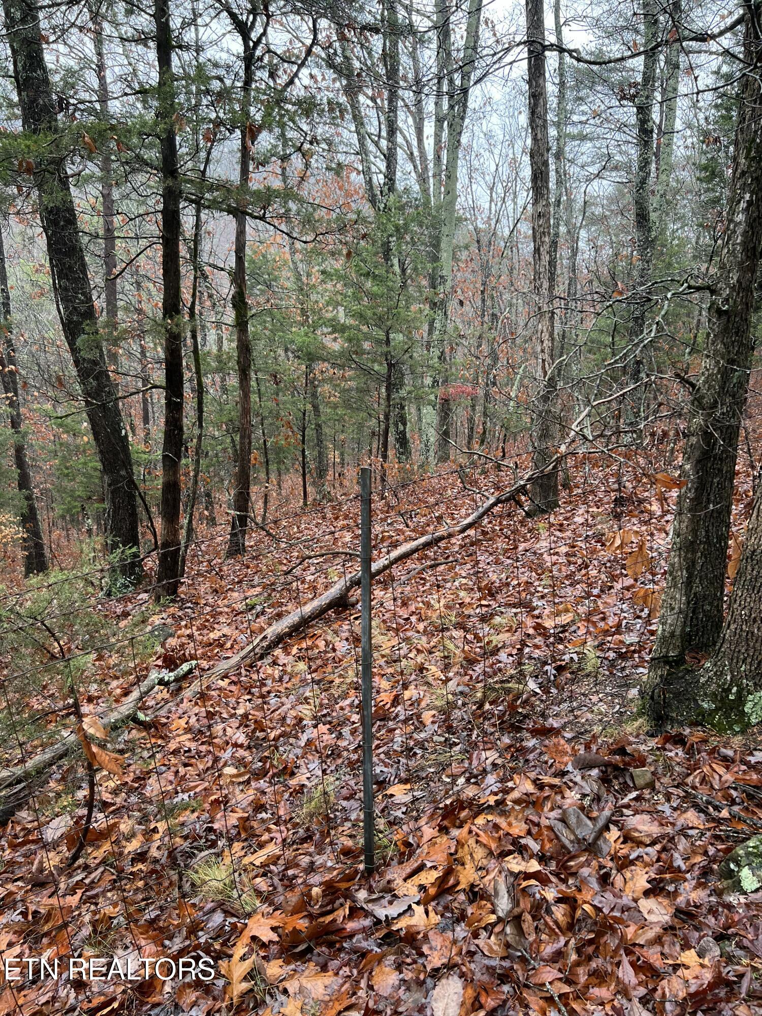 1875 Dyer Hollow Rd Property Photo 16