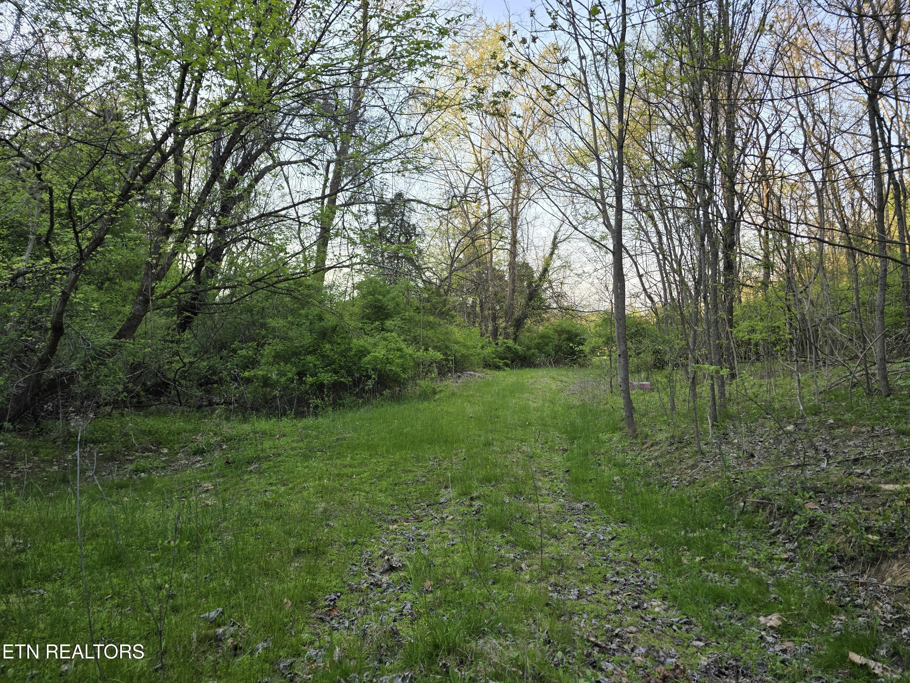 Tr-2 Boatmans Mountain-tr 2 Rd Property Photo 3