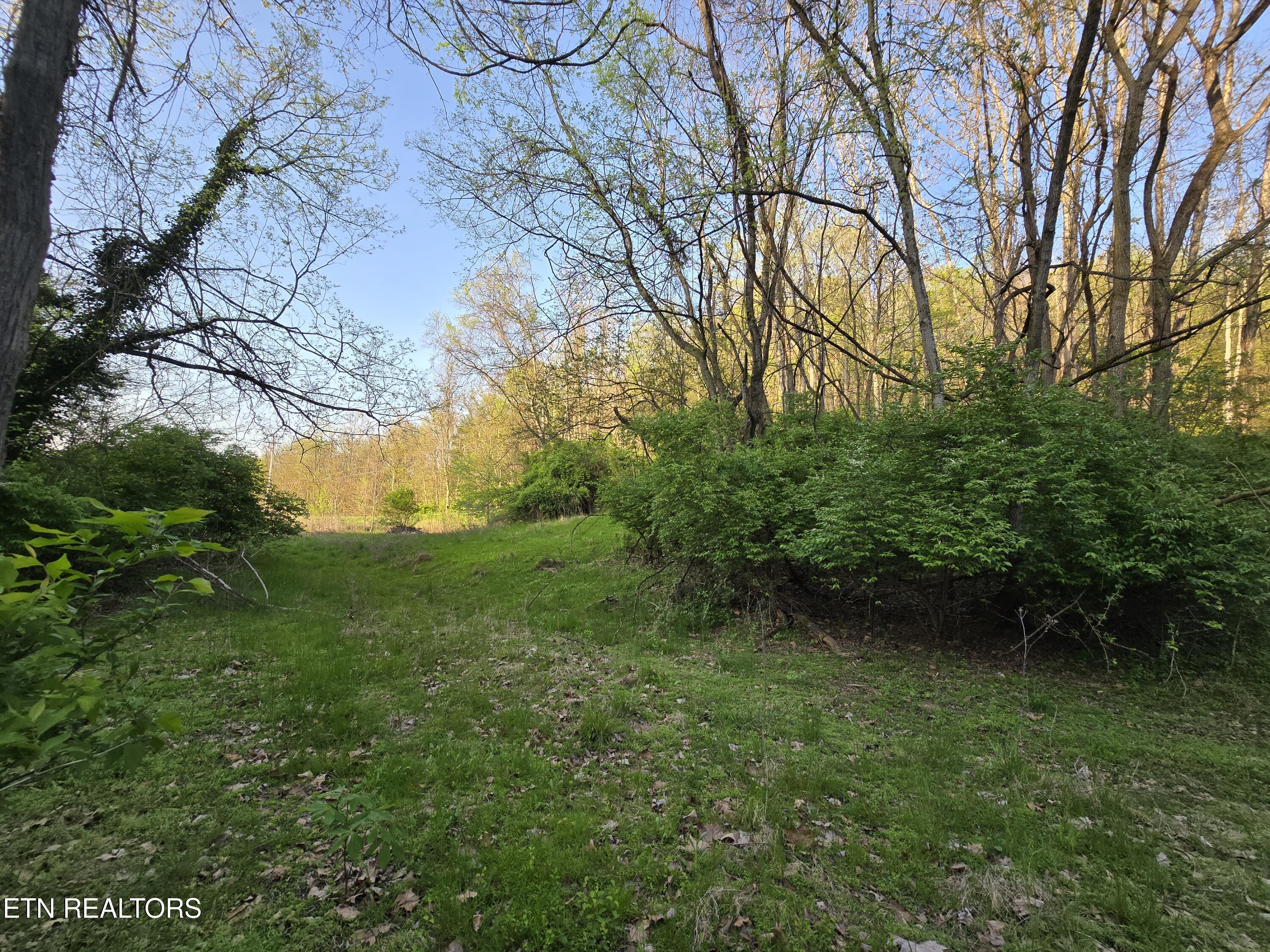 Tr-2 Boatmans Mountain-tr 2 Rd Property Photo 4