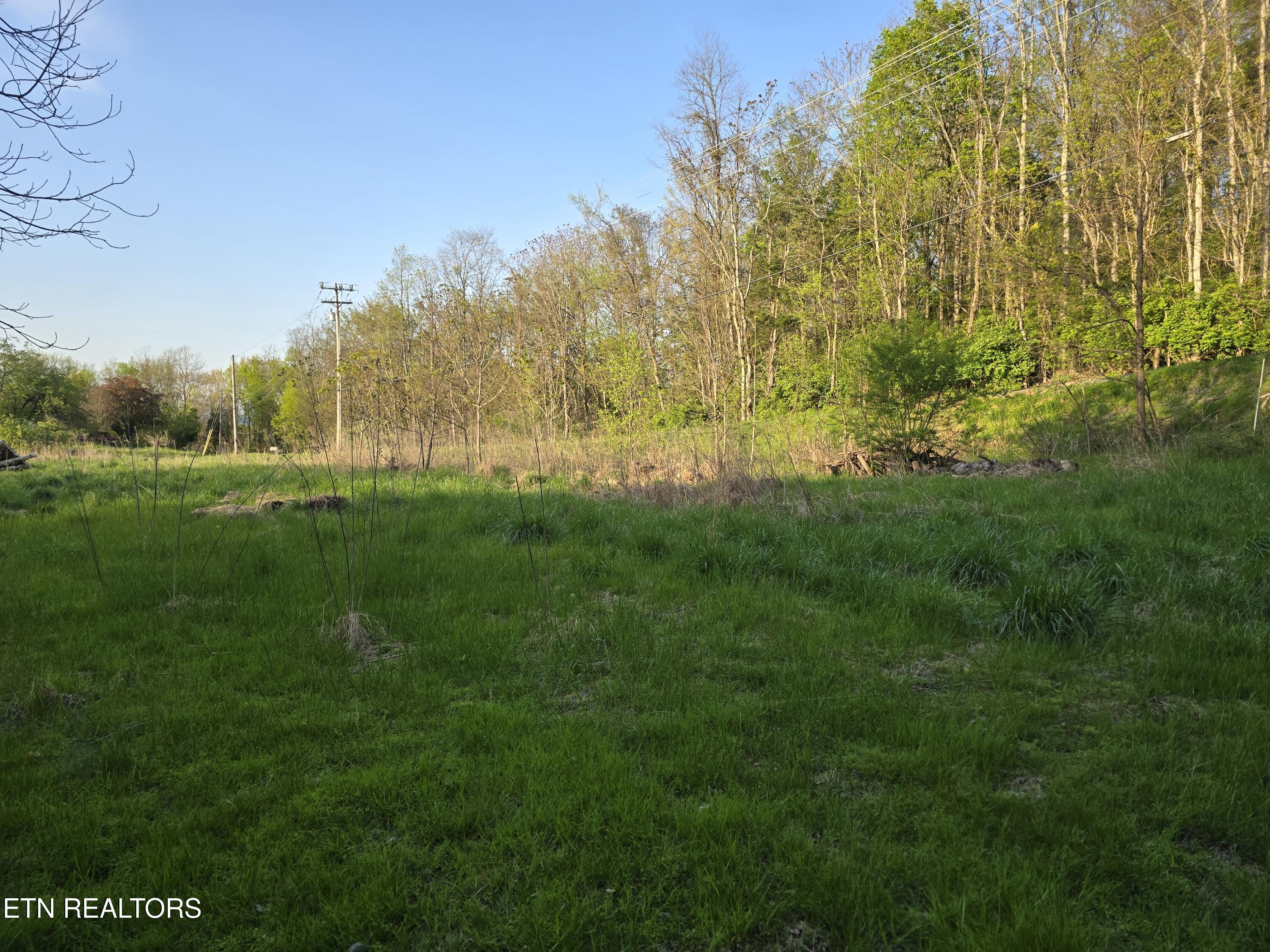 Tr-2 Boatmans Mountain-tr 2 Rd Property Photo 9