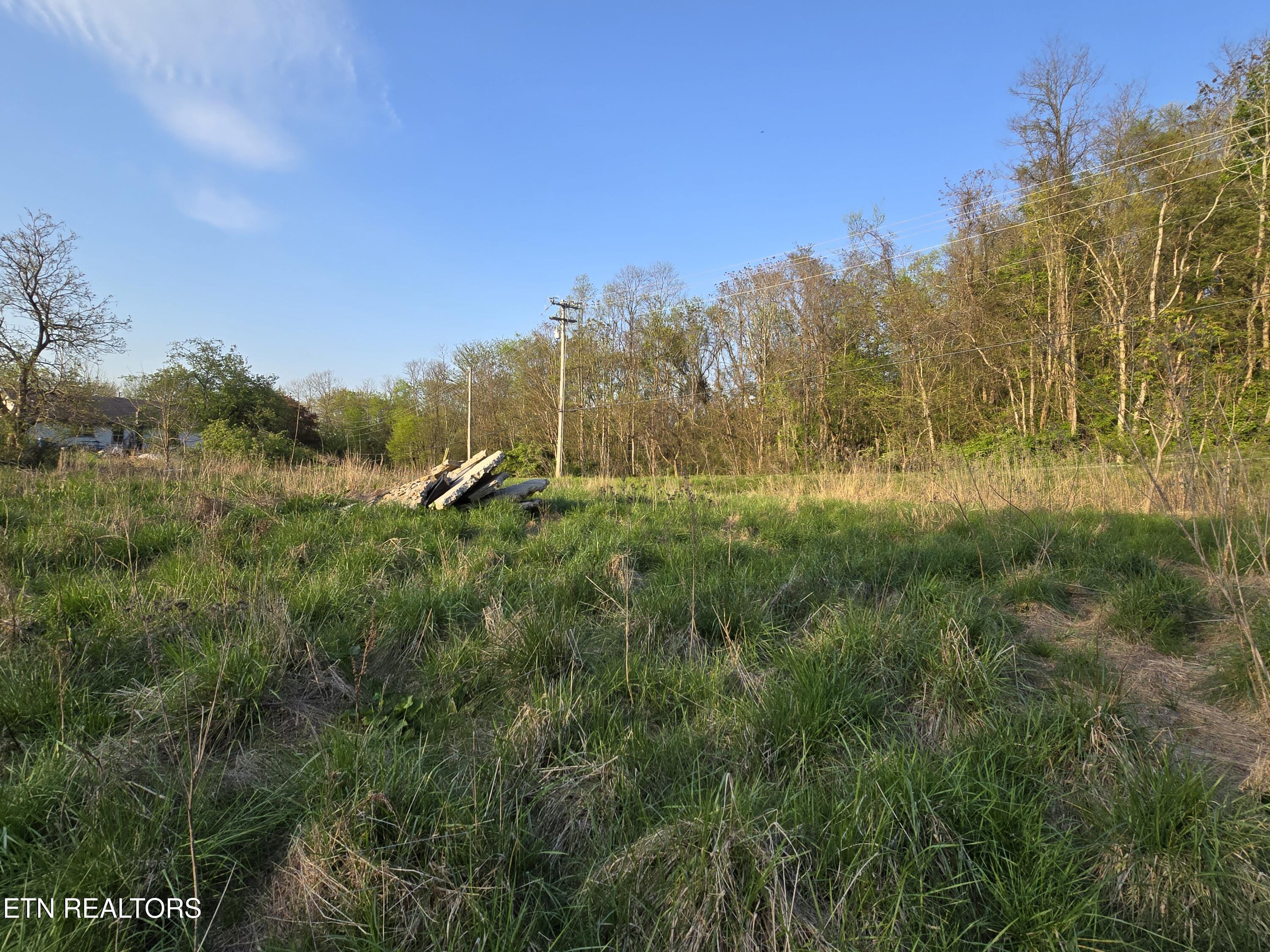Tr-2 Boatmans Mountain-tr 2 Rd Property Photo 10