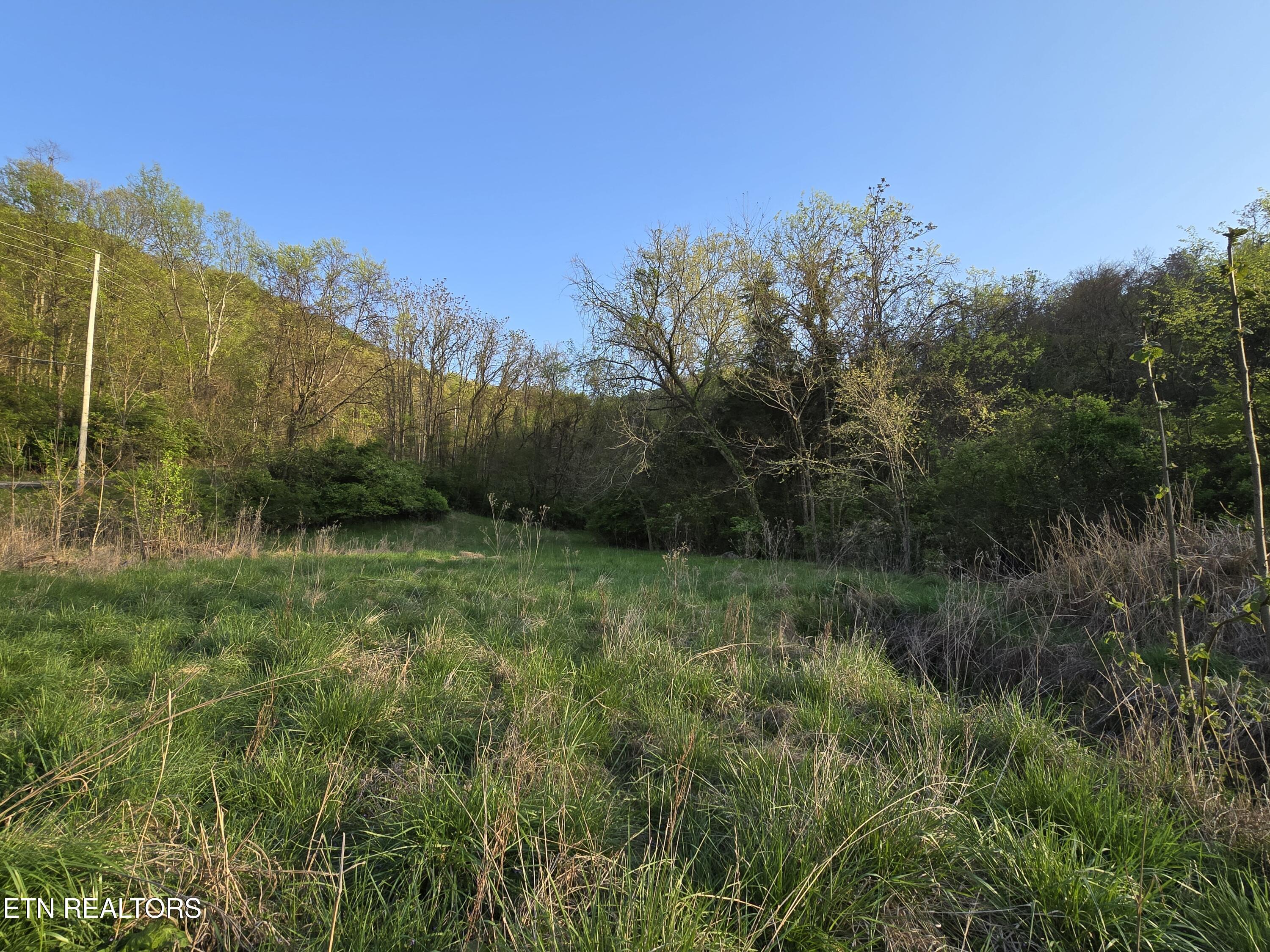 Tr-2 Boatmans Mountain-tr 2 Rd Property Photo 11