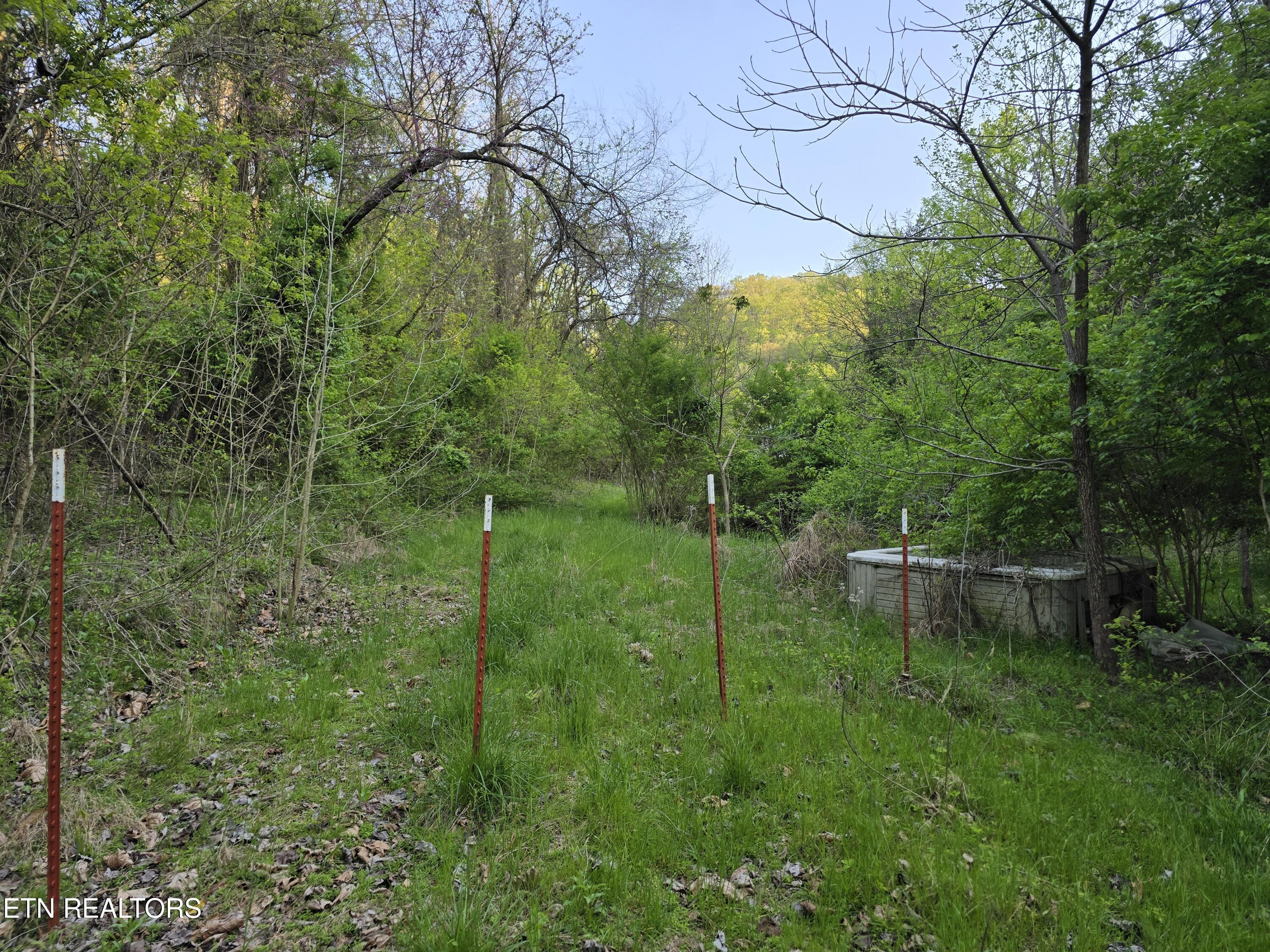Tr-2 Boatmans Mountain-tr 2 Rd Property Photo 17