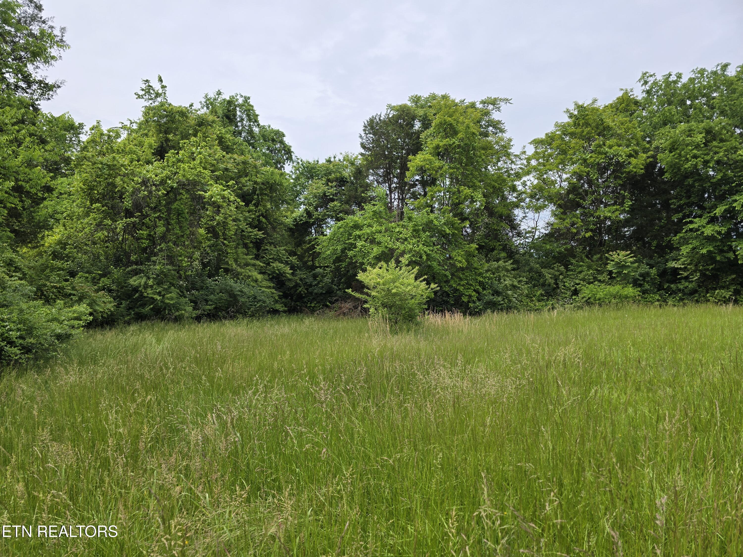 TBD BOATMANS MOUNTAIN-TR 1 Rd Property Photo 1