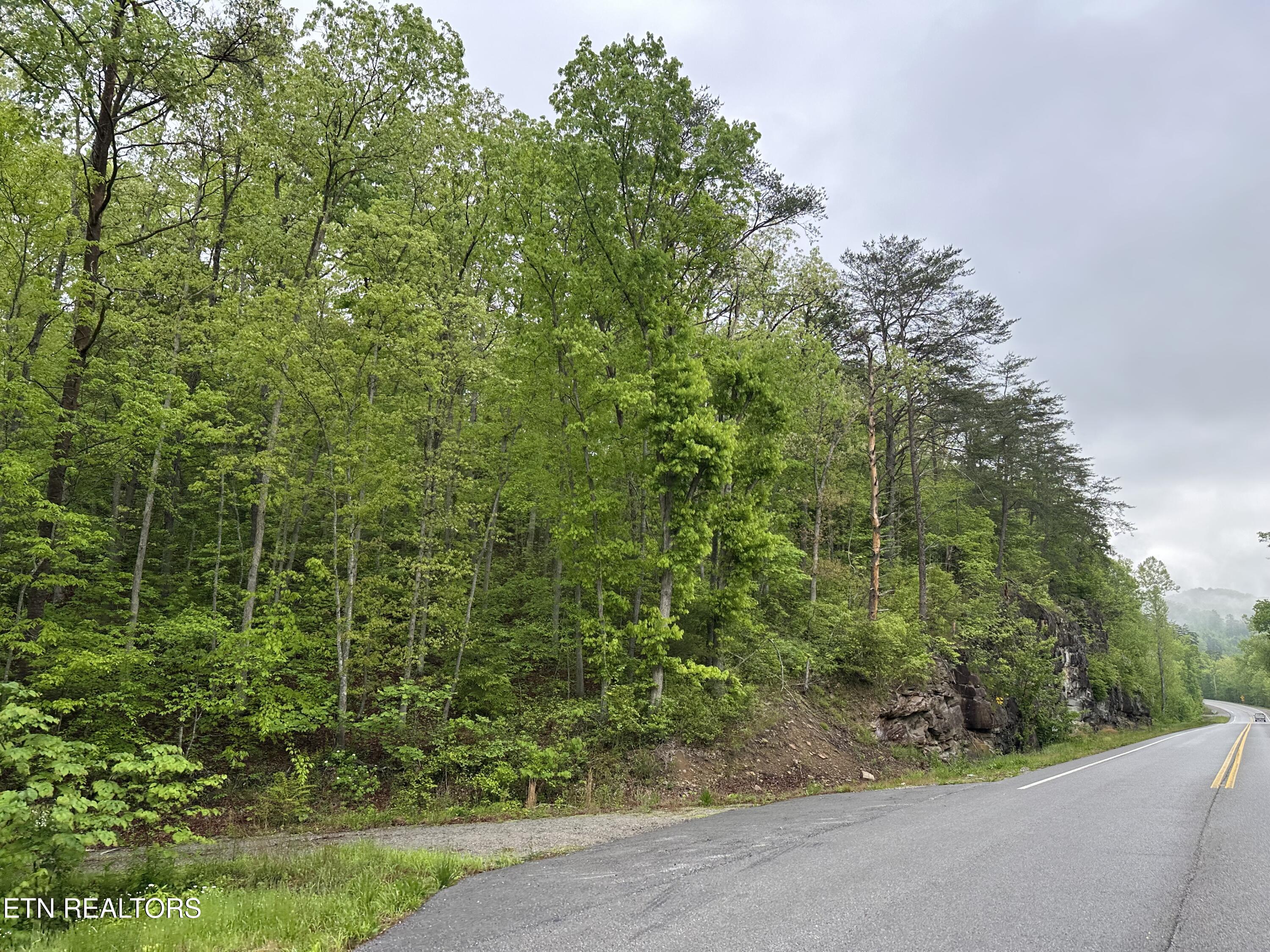 8472 Highway 25 W N Property Photo