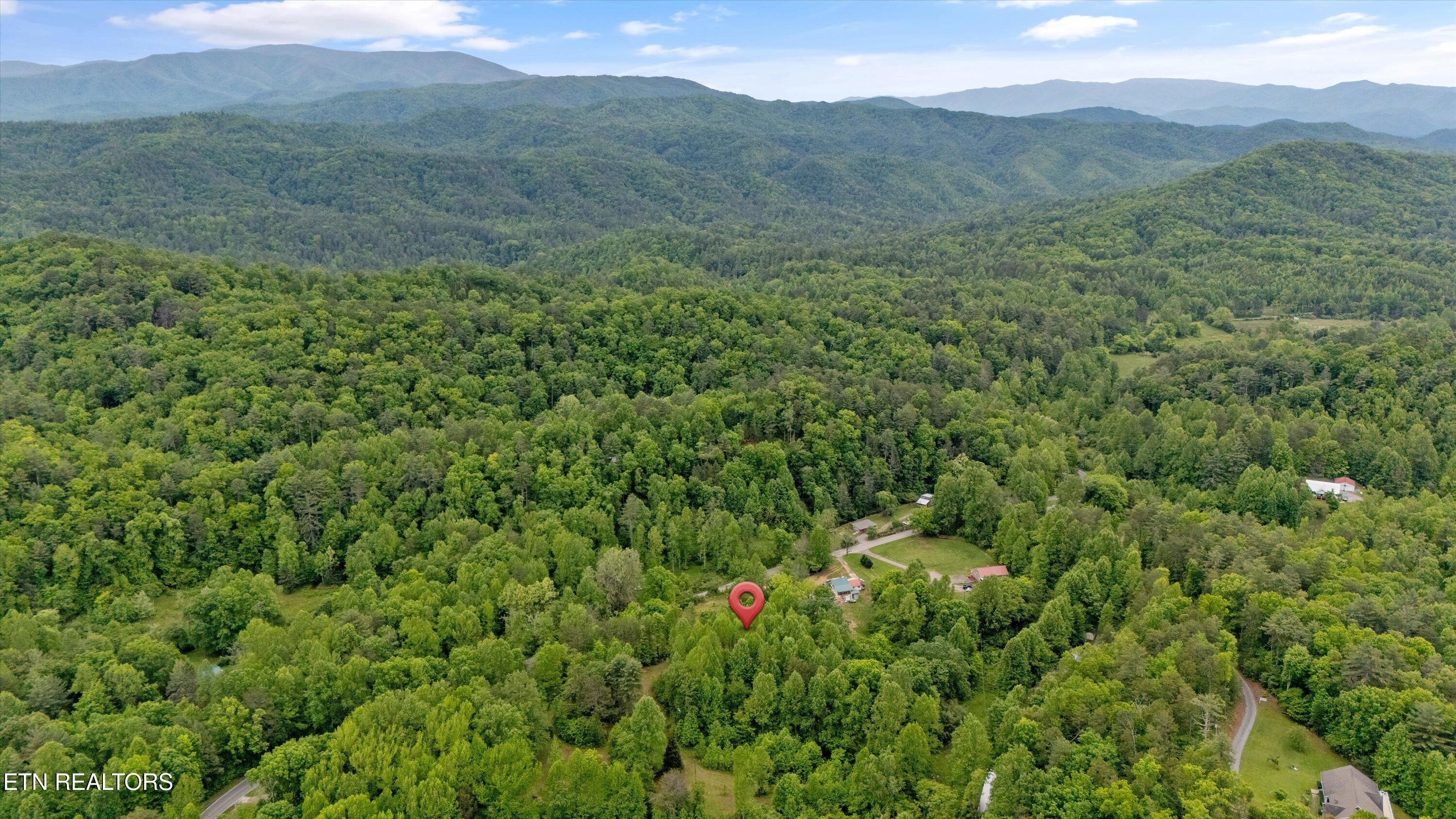 6010 Happy Valley Rd Property Photo 5