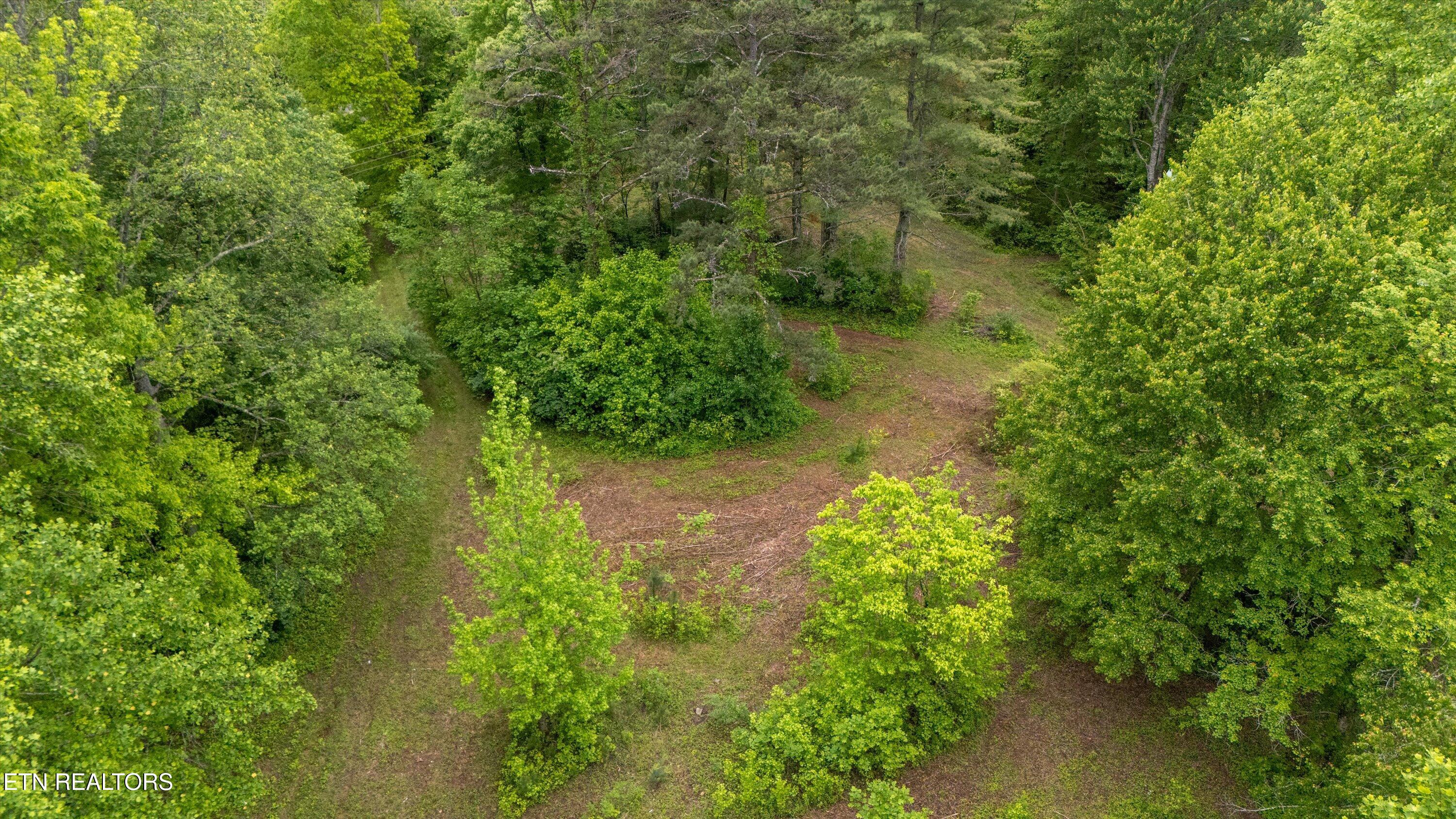 6010 Happy Valley Rd Property Photo 8