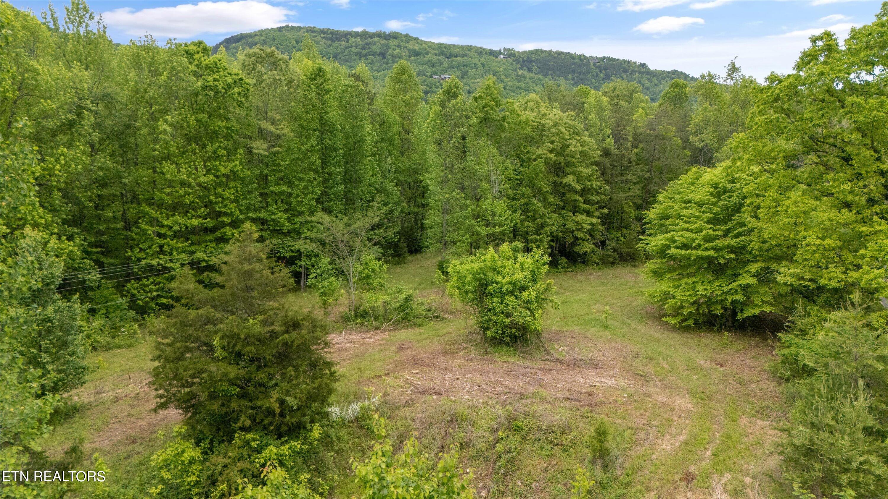 6010 Happy Valley Rd Property Photo 11