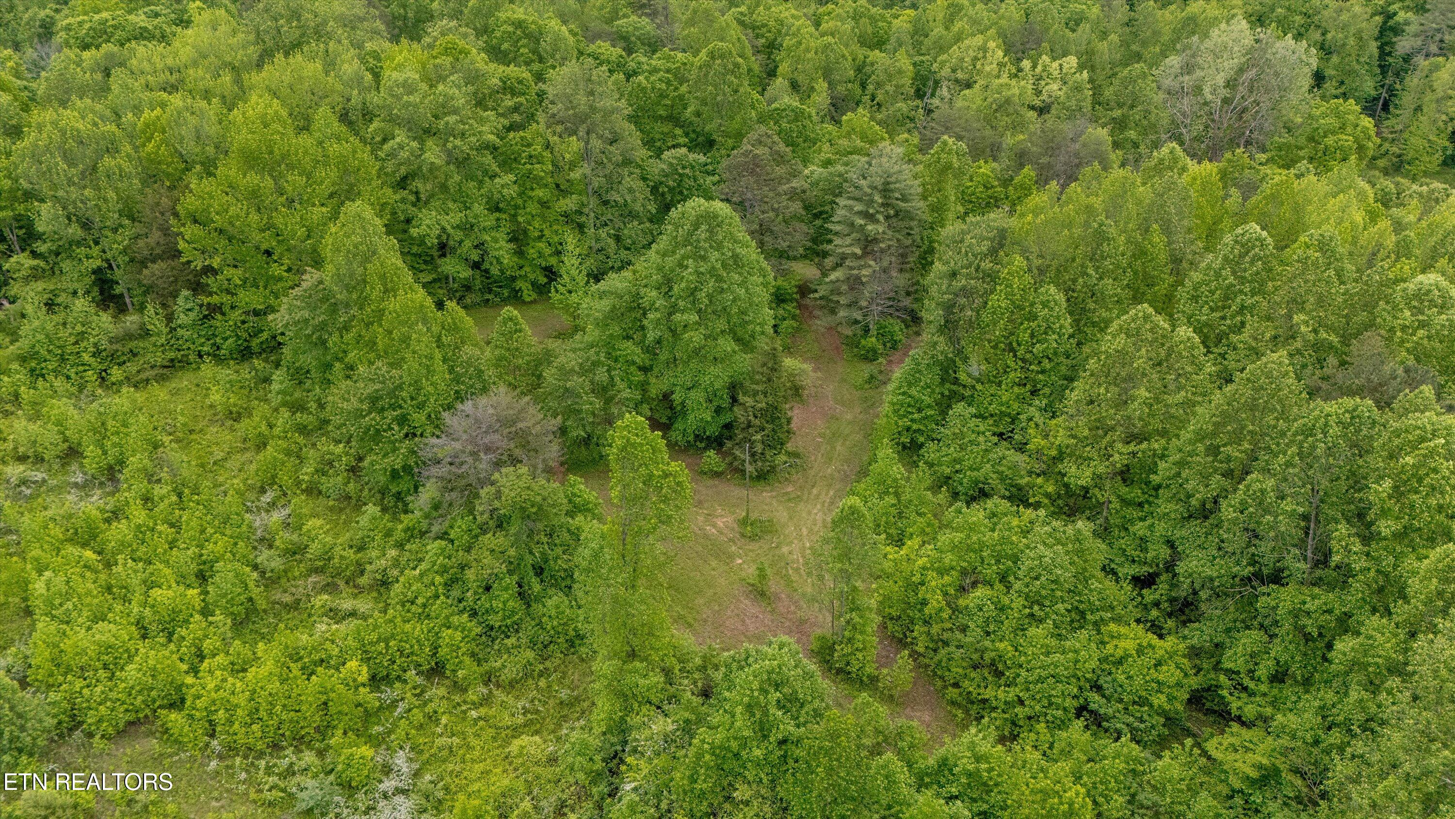 6010 Happy Valley Rd Property Photo 12