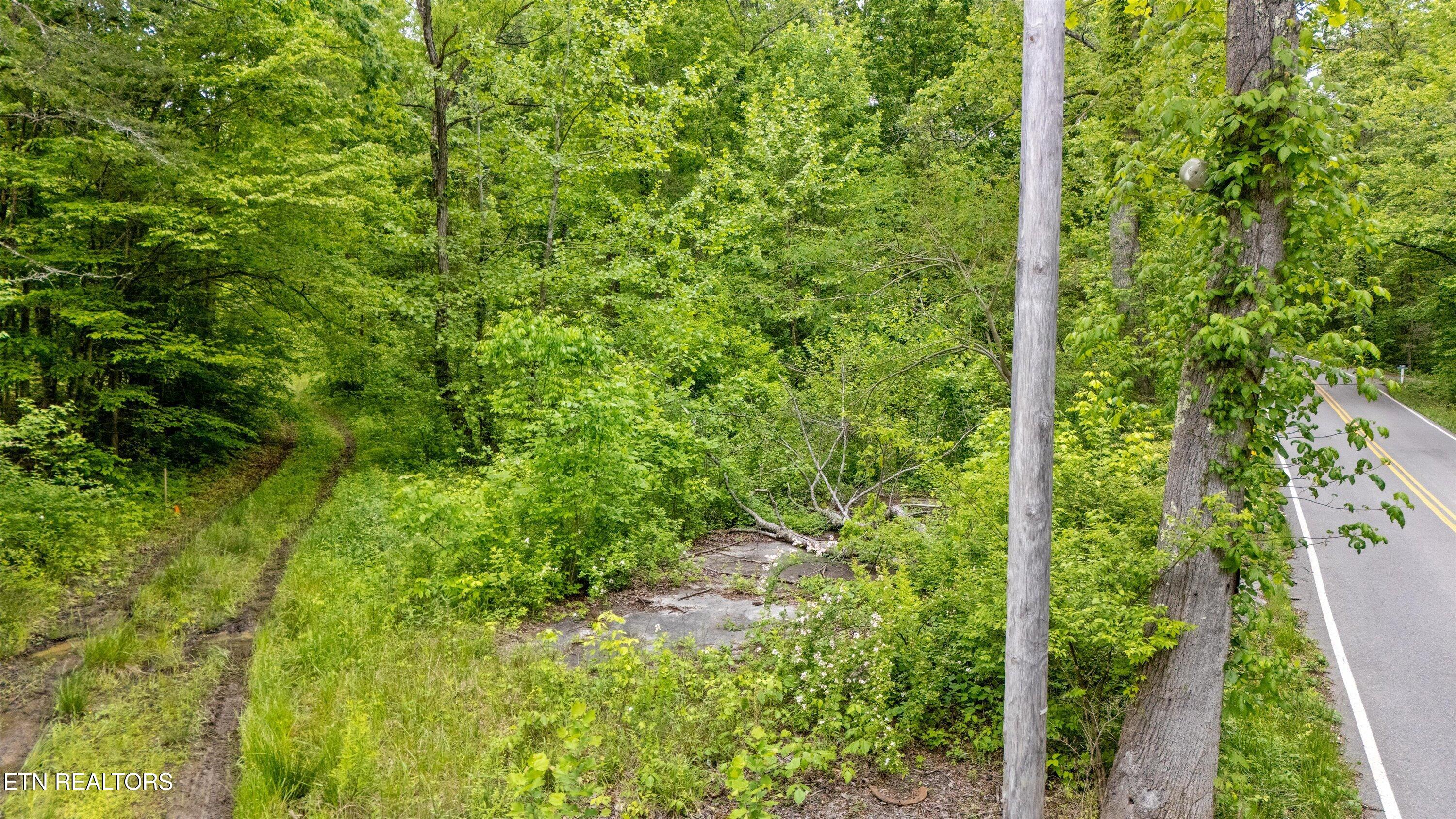 6010 Happy Valley Rd Property Photo 16