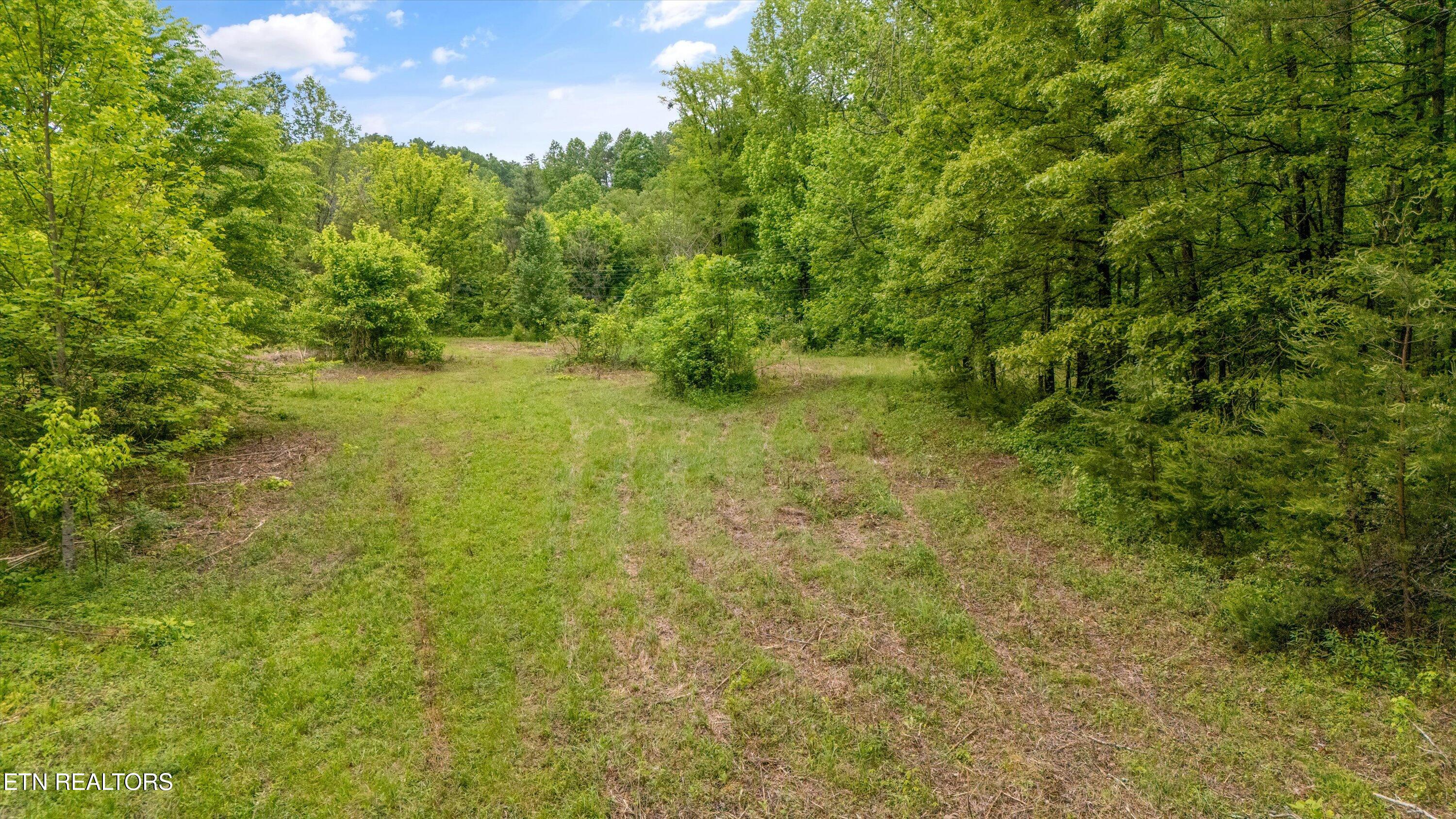 6010 Happy Valley Rd Property Photo 18