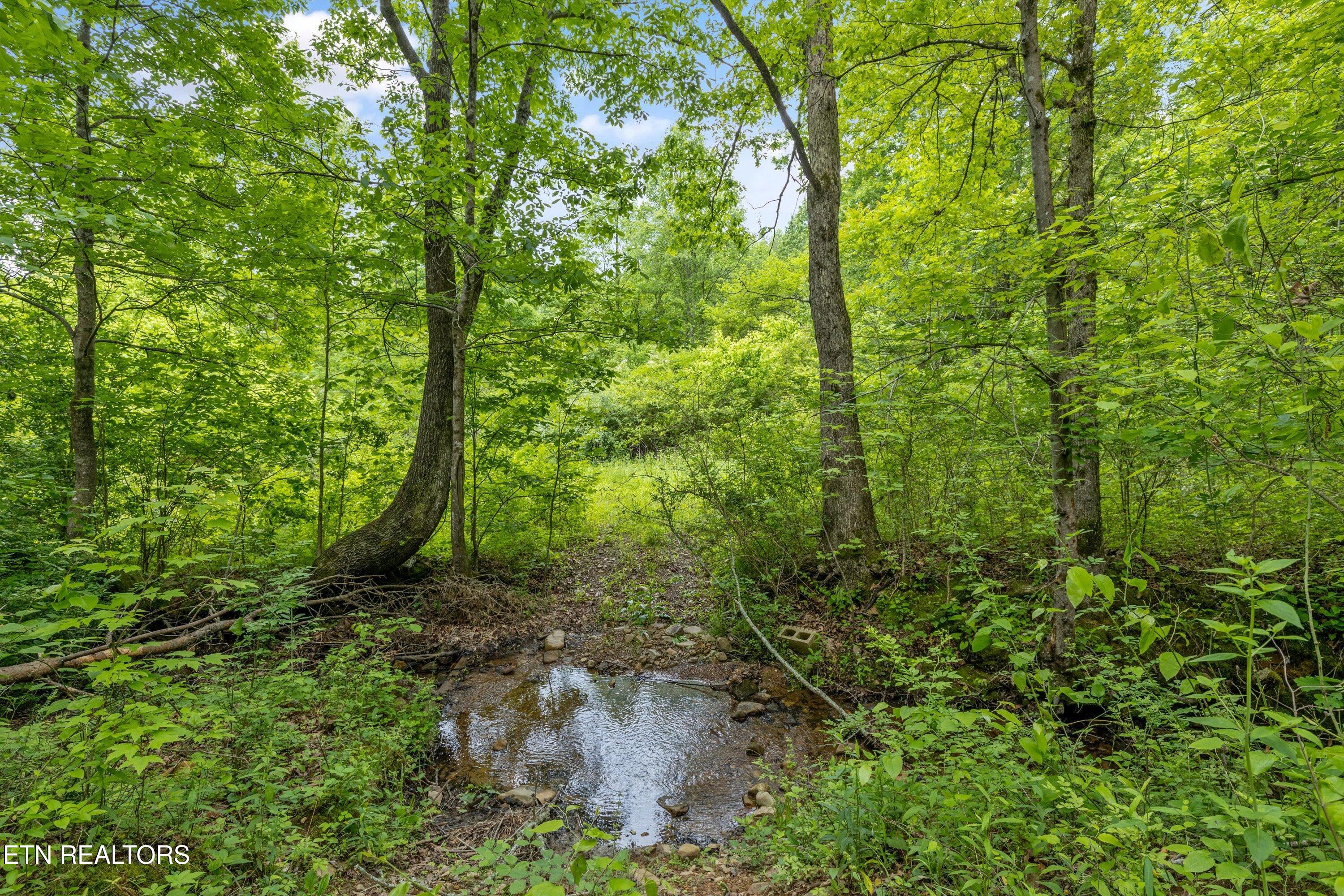 6010 Happy Valley Rd Property Photo 21