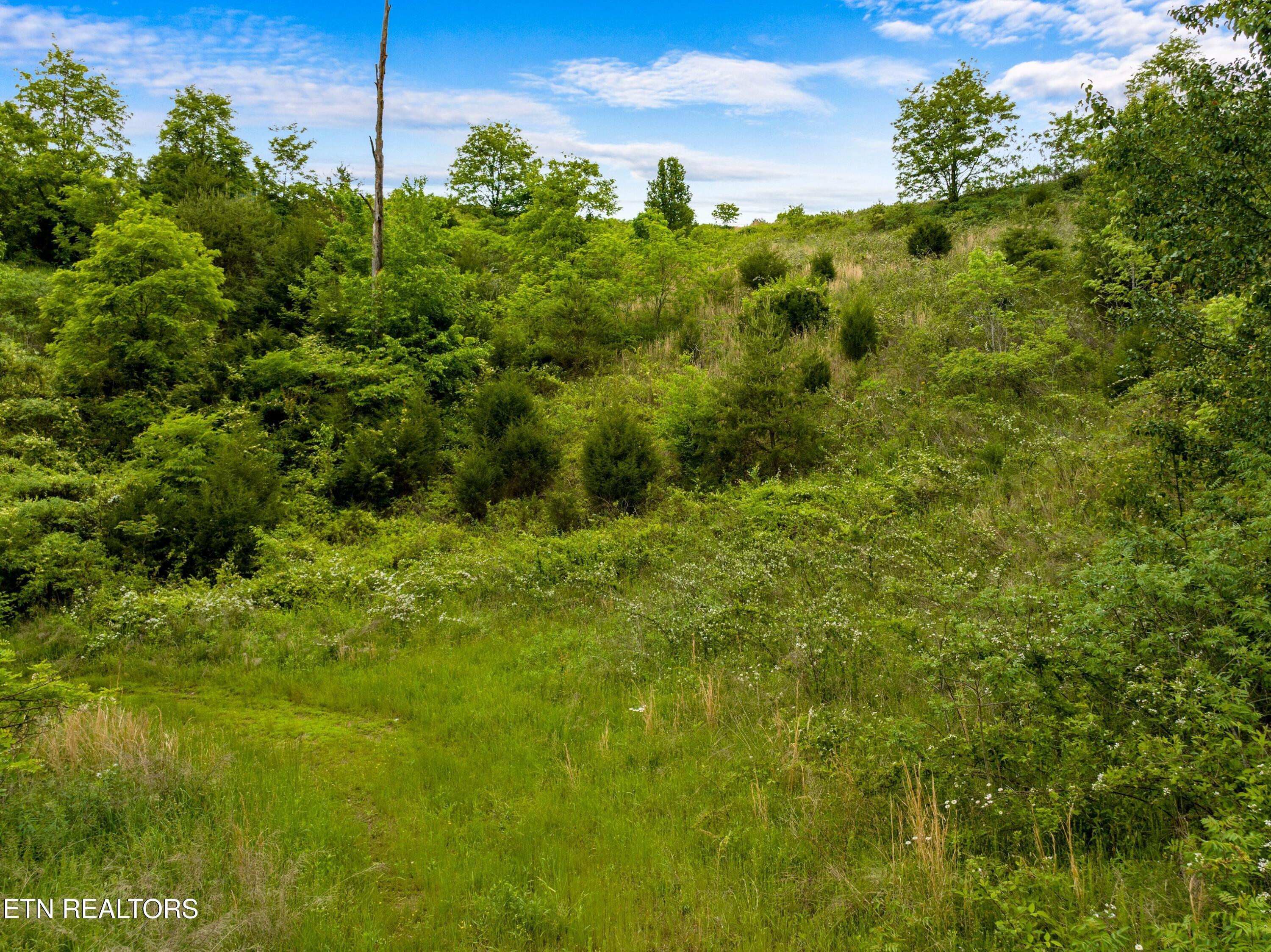 Lot 11 Longshore Drive Property Photo 15