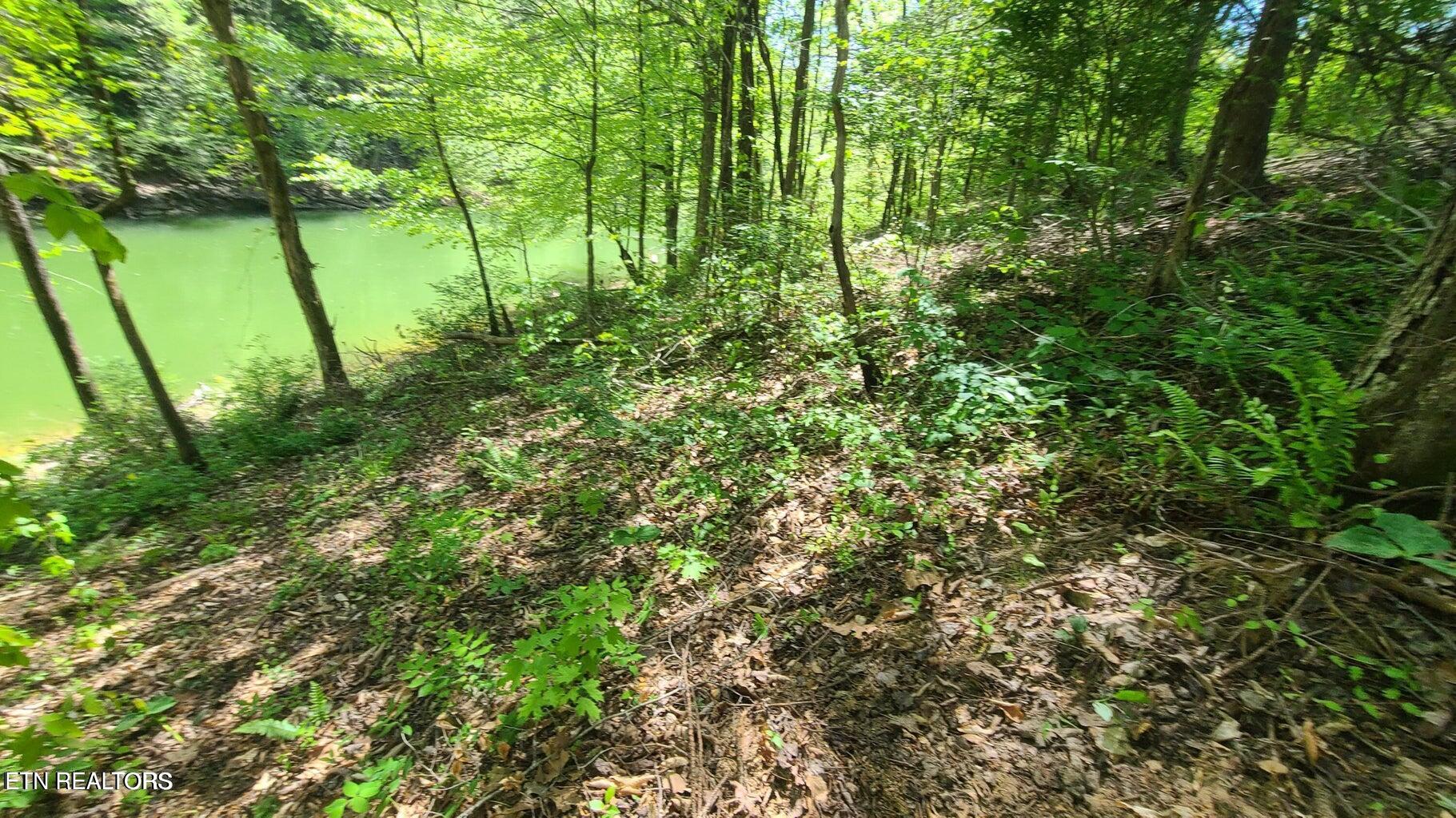 Claiborne Rd Property Photo