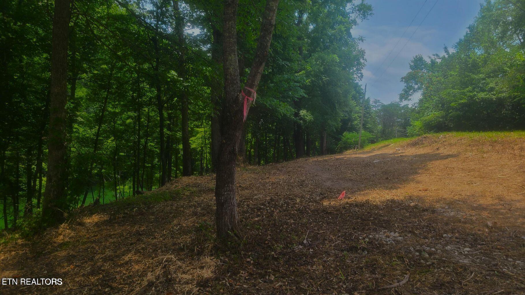 Claiborne Rd Property Photo 3