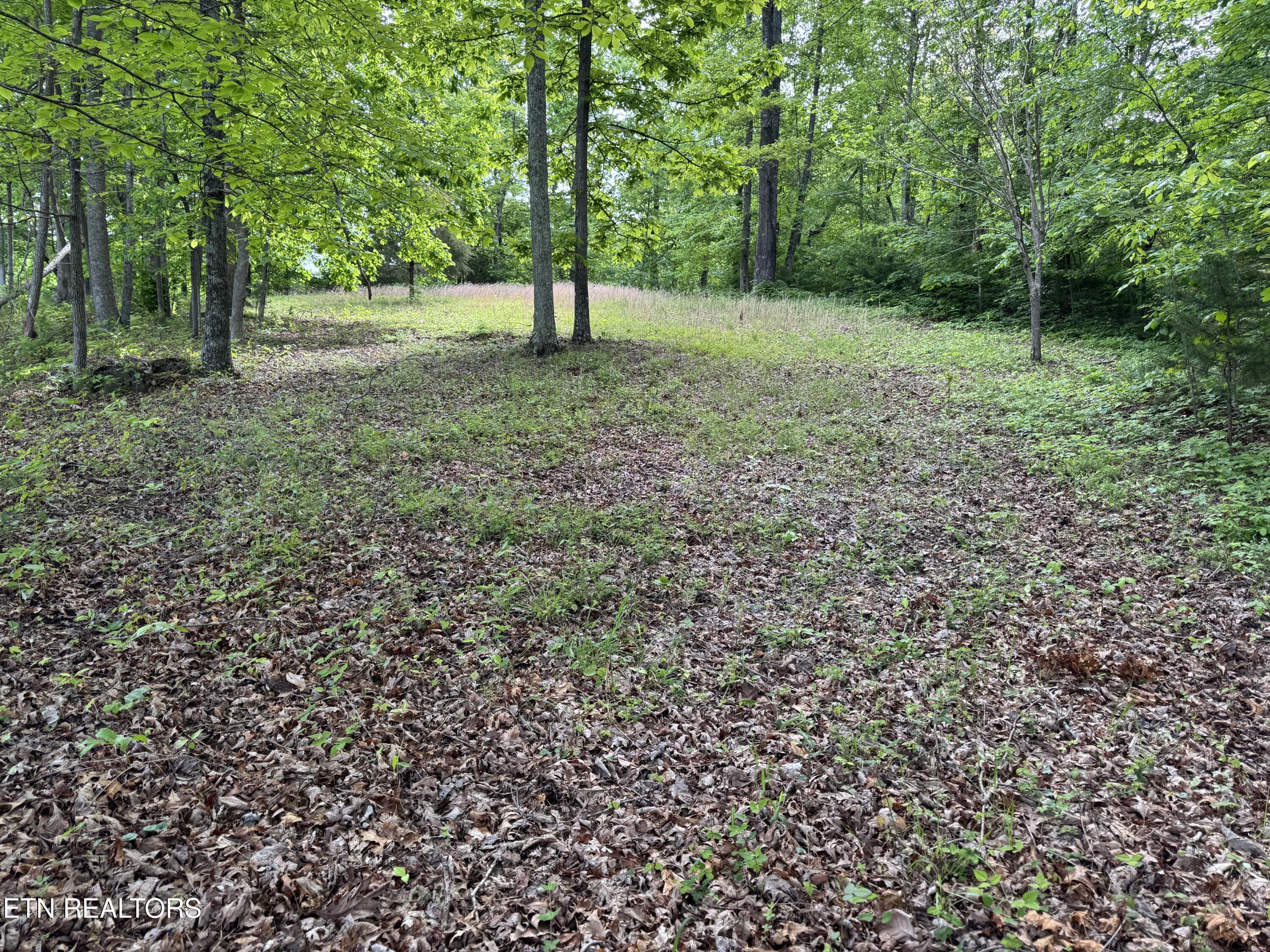 Baldwin Rd Property Photo 3