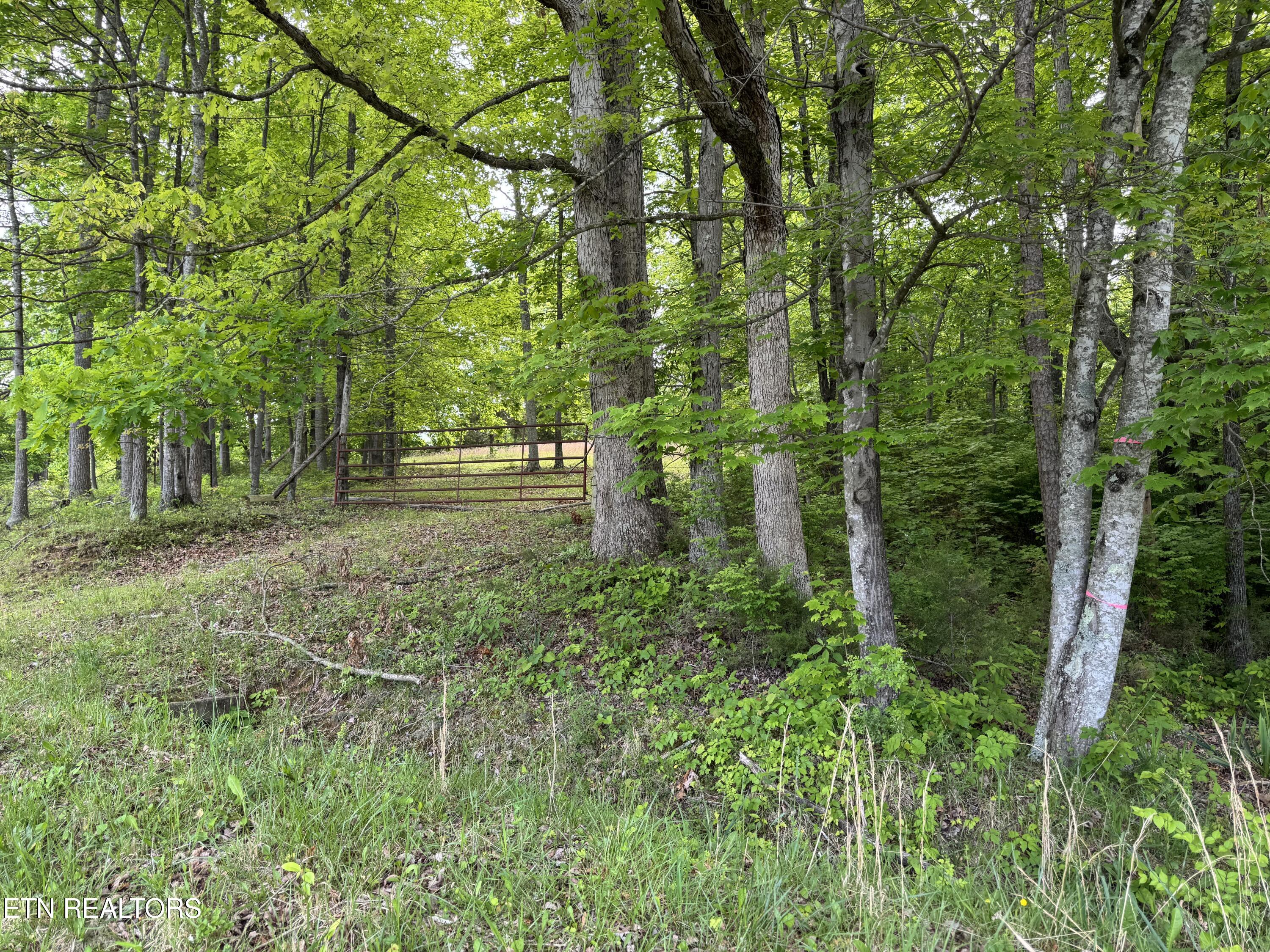 Baldwin Rd Property Photo 5
