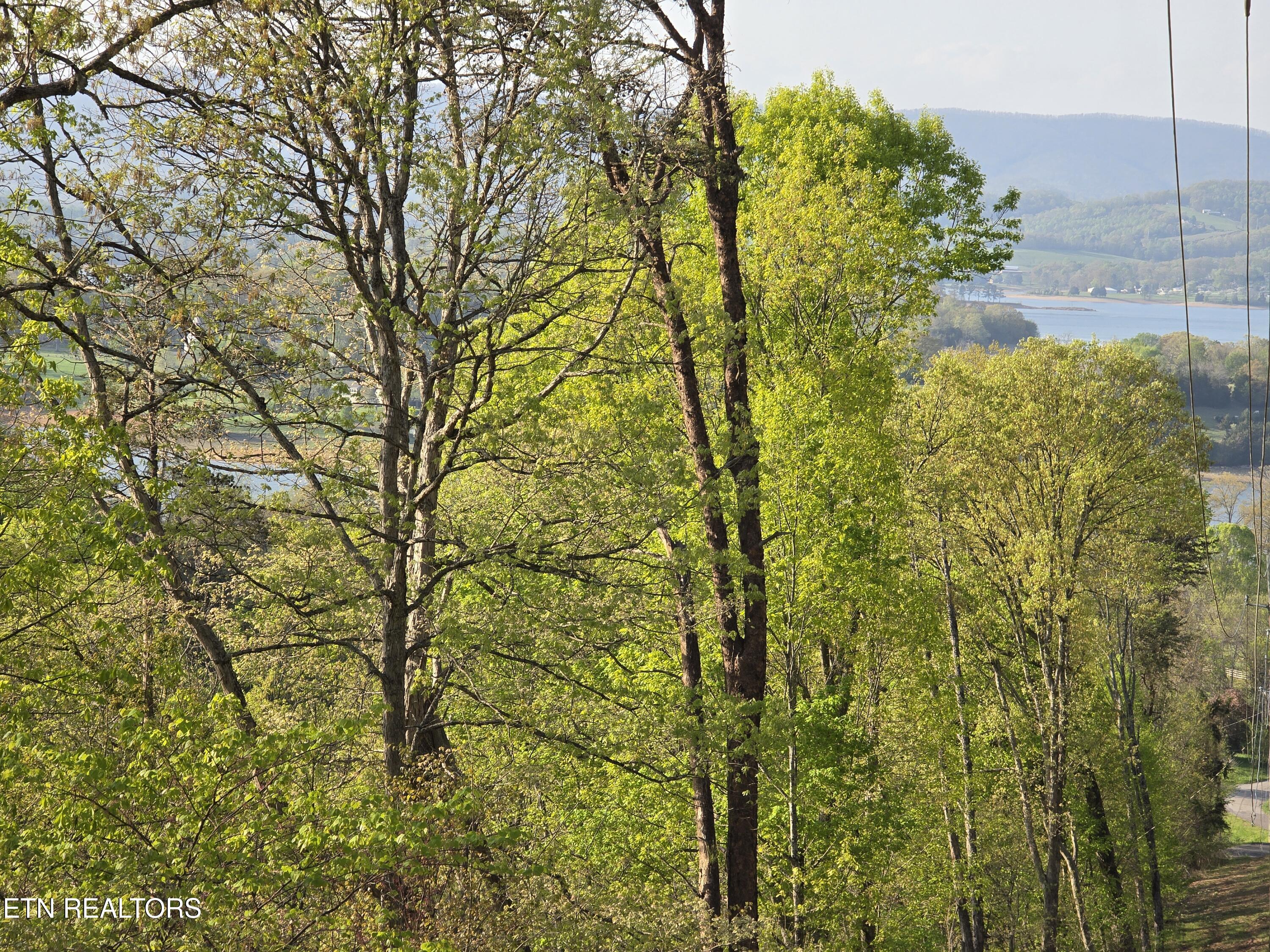 Tr-4 Boatmans Mountain-25.54ac Property Photo 2
