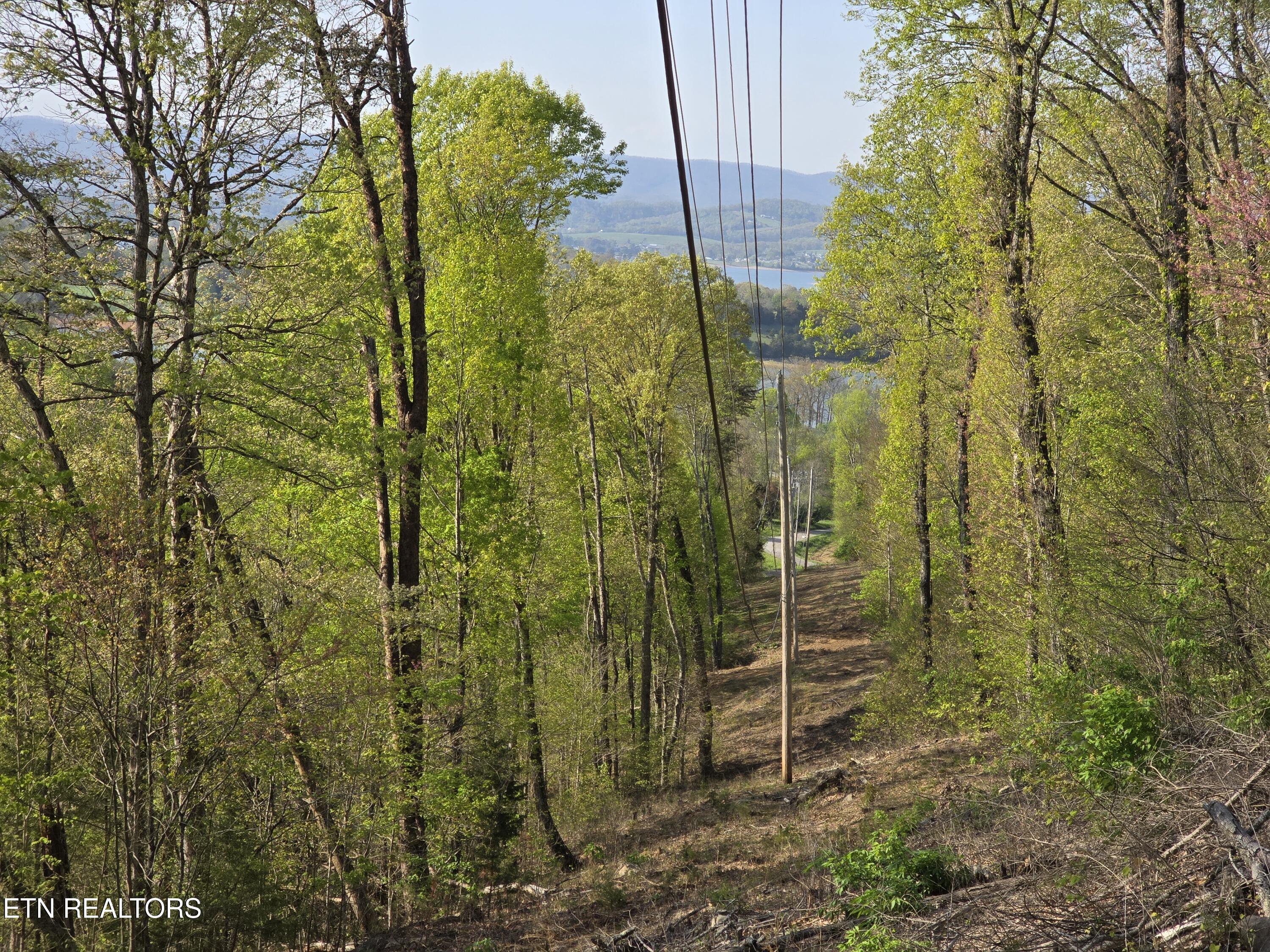 Tr-4 Boatmans Mountain-25.54ac Property Photo 3