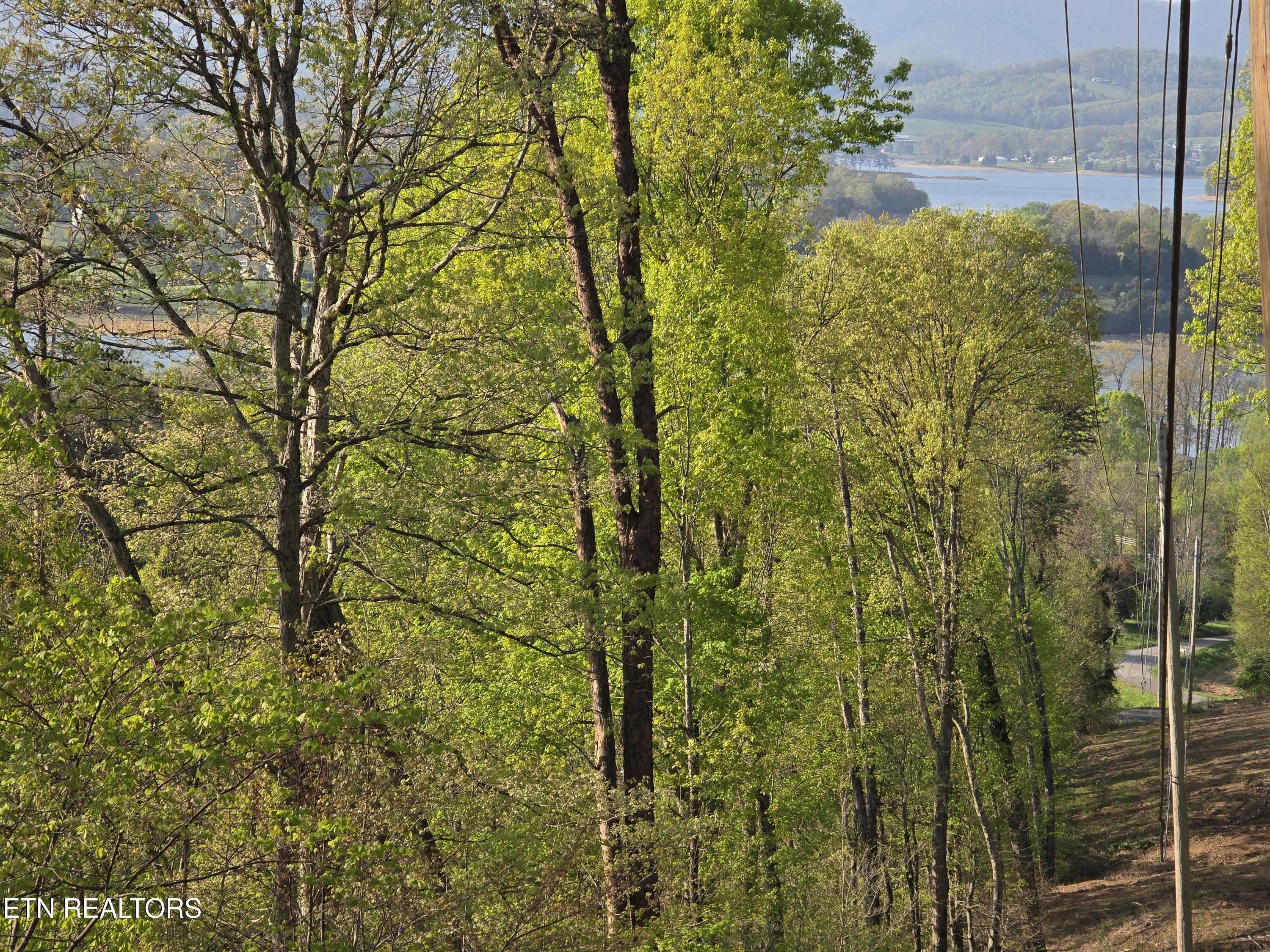 Tr-4 Boatmans Mountain-25.54ac Property Photo 4