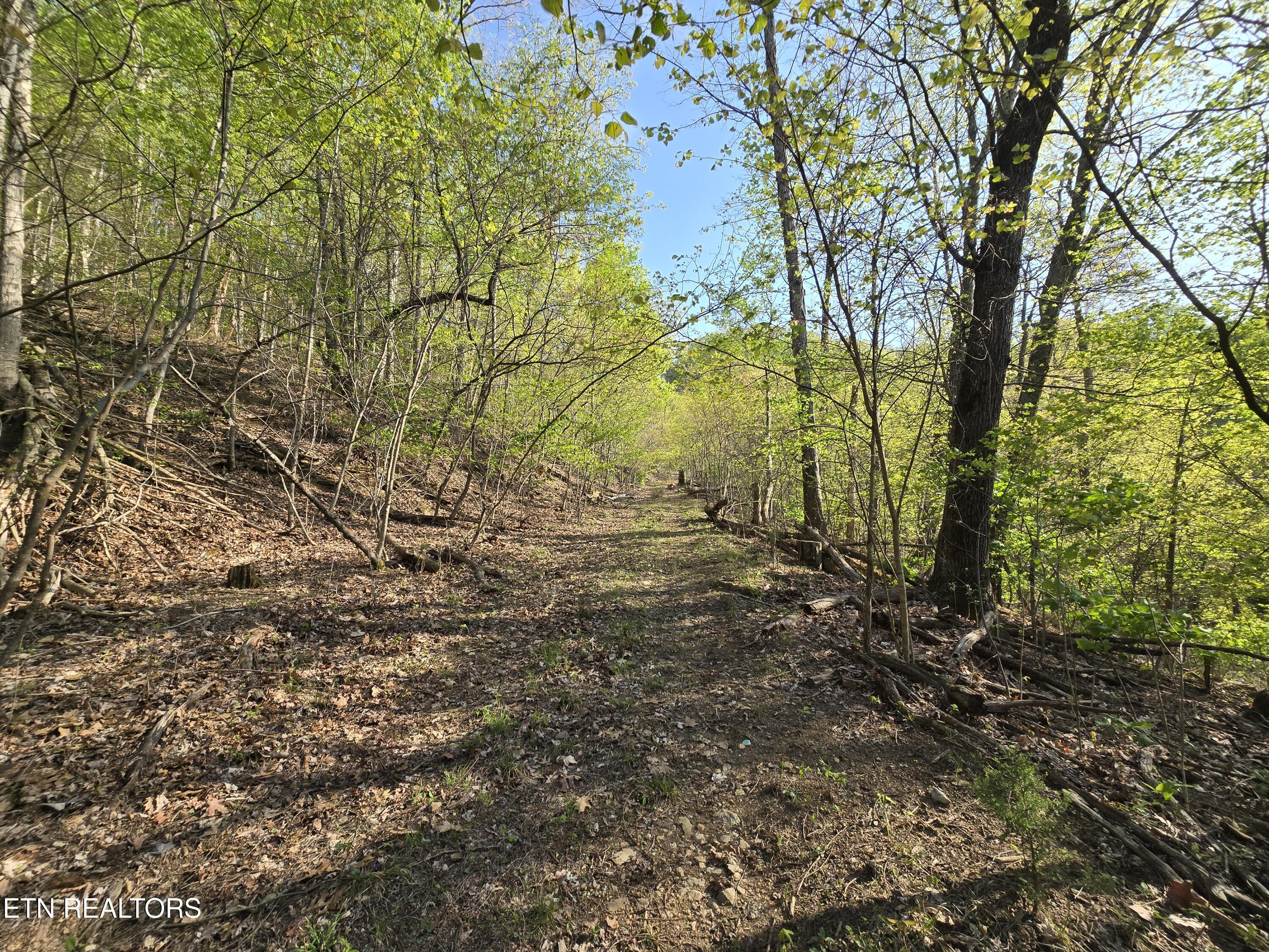 Tr-4 Boatmans Mountain-25.54ac Property Photo 5