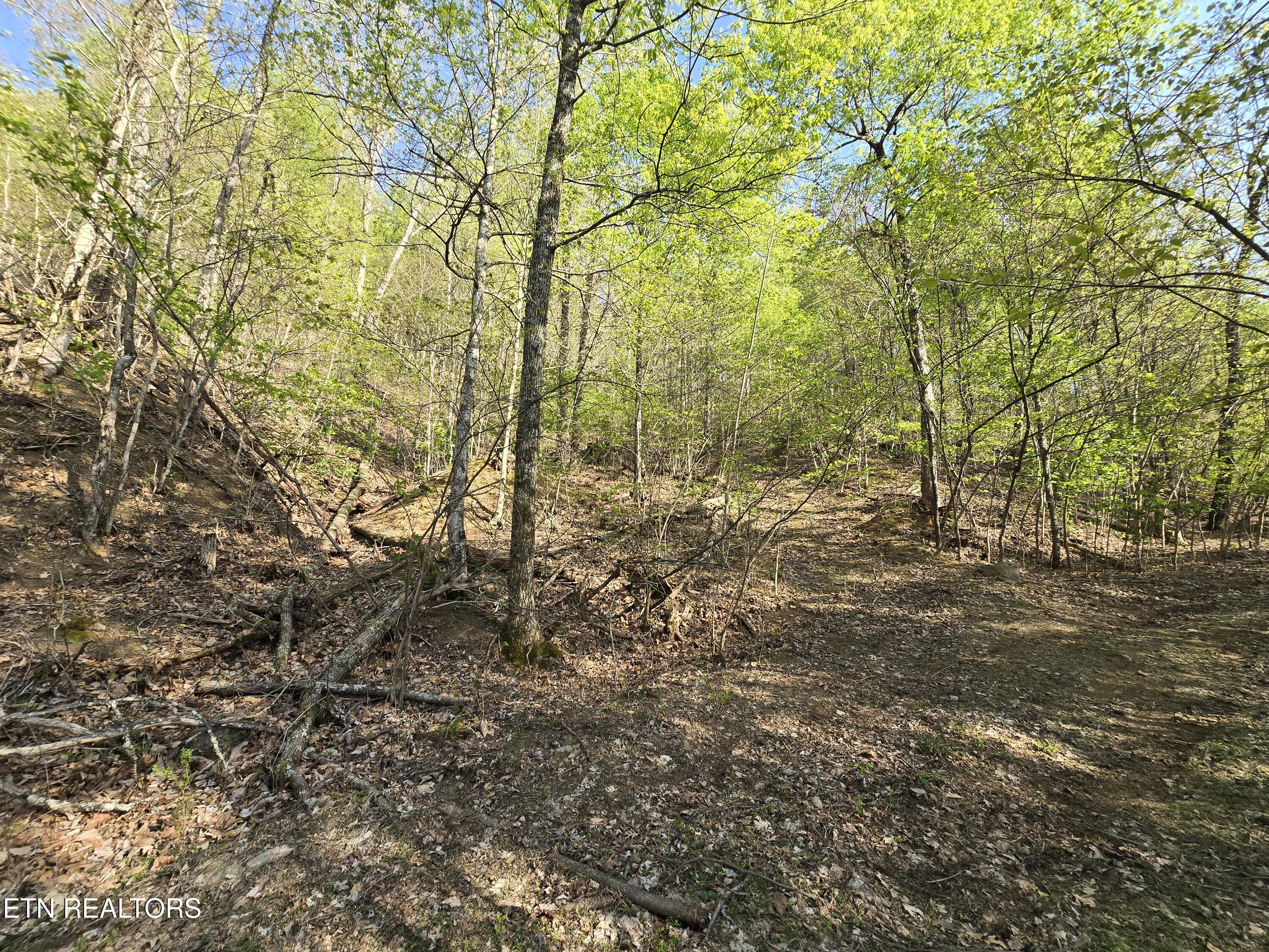 Tr-4 Boatmans Mountain-25.54ac Property Photo 7