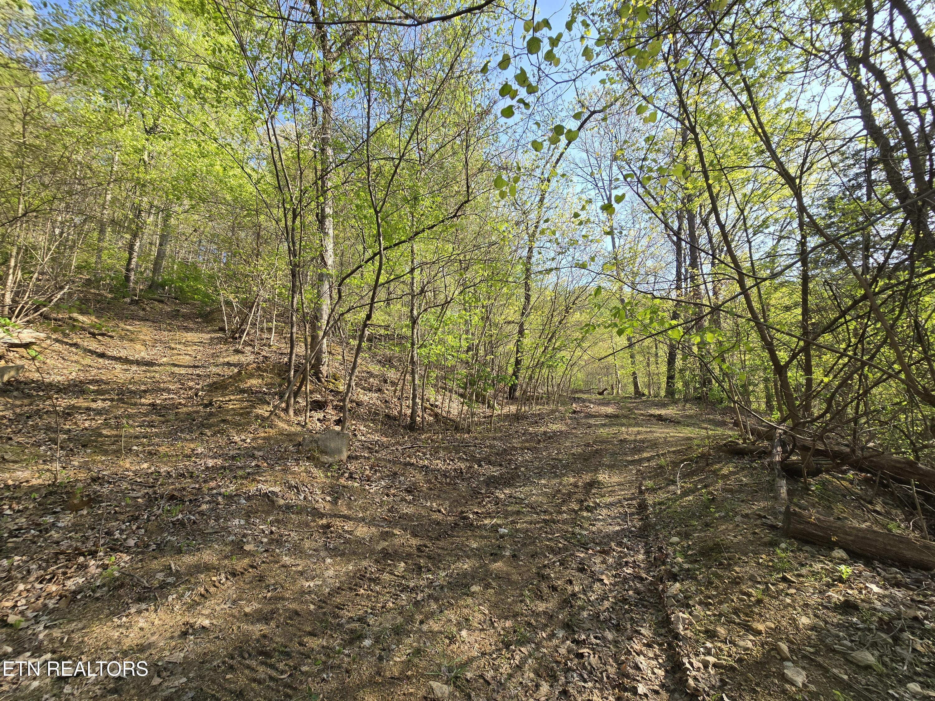 Tr-4 Boatmans Mountain-25.54ac Property Photo 8