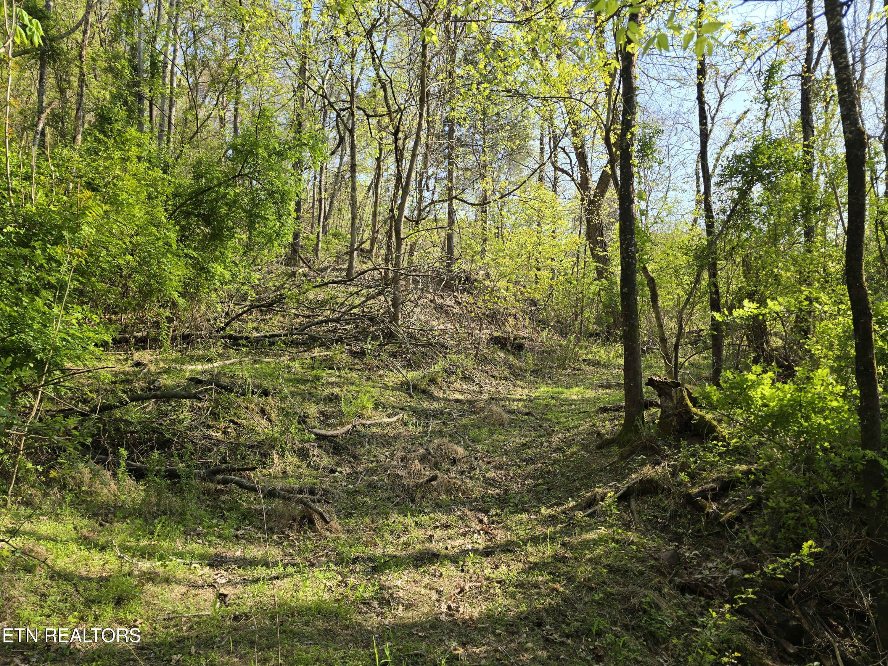 Tr-4 Boatmans Mountain-25.54ac Property Photo 9
