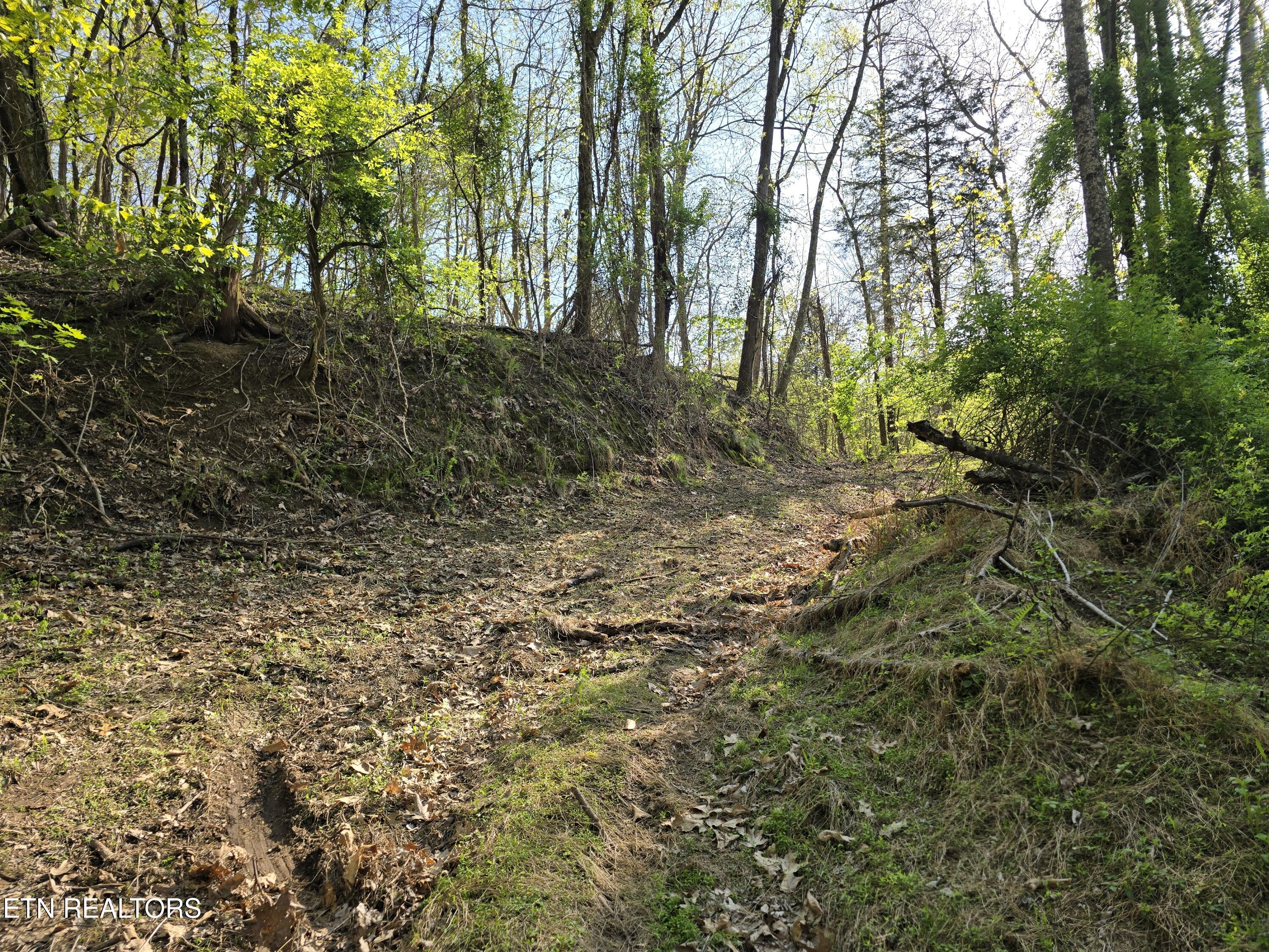 Tr-4 Boatmans Mountain-25.54ac Property Photo 11