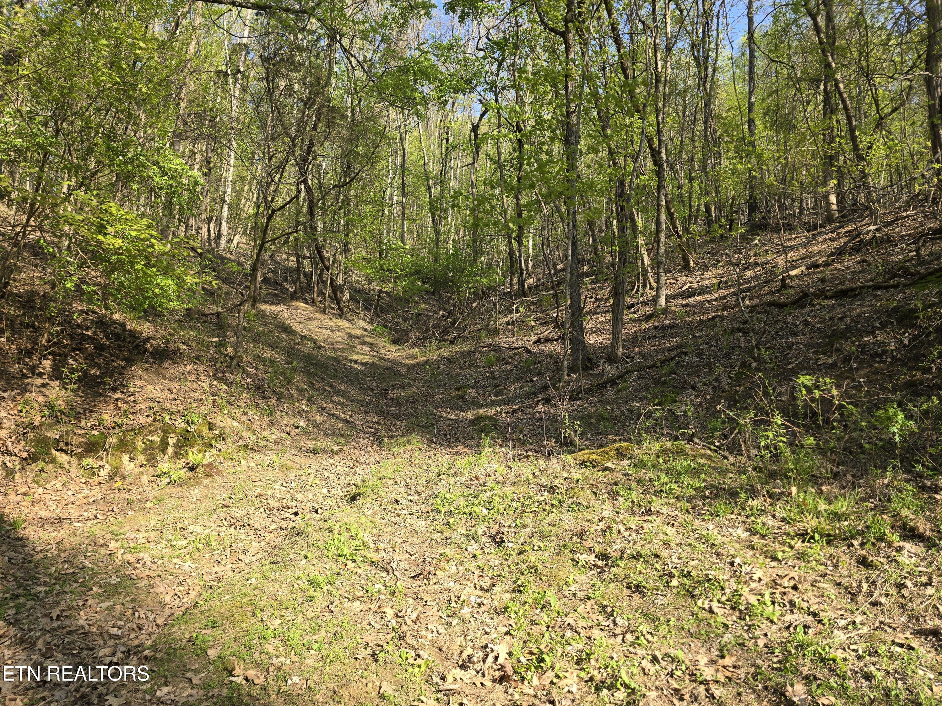 Tr-4 Boatmans Mountain-25.54ac Property Photo 12