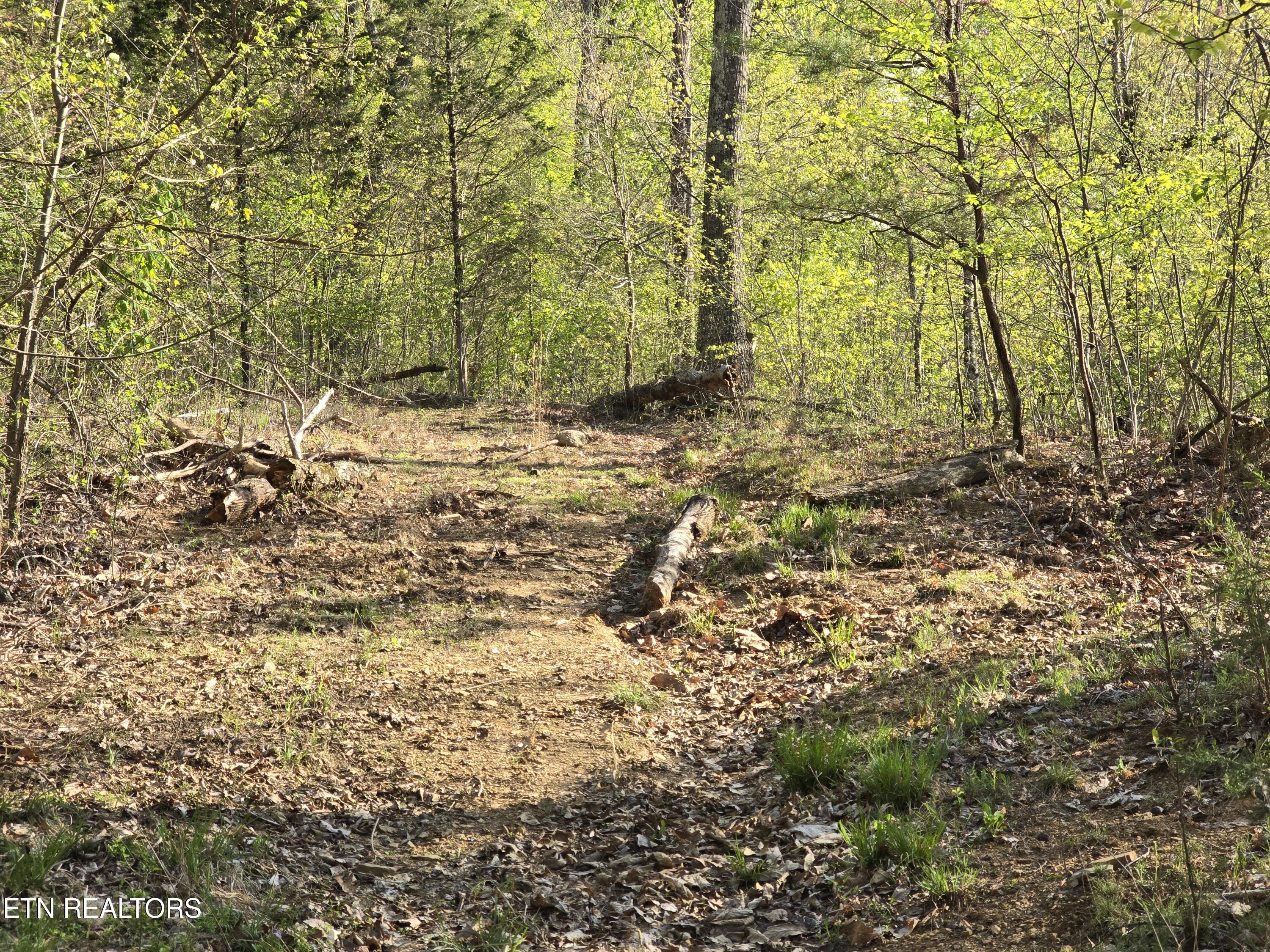 Tr-4 Boatmans Mountain-25.54ac Property Photo 27