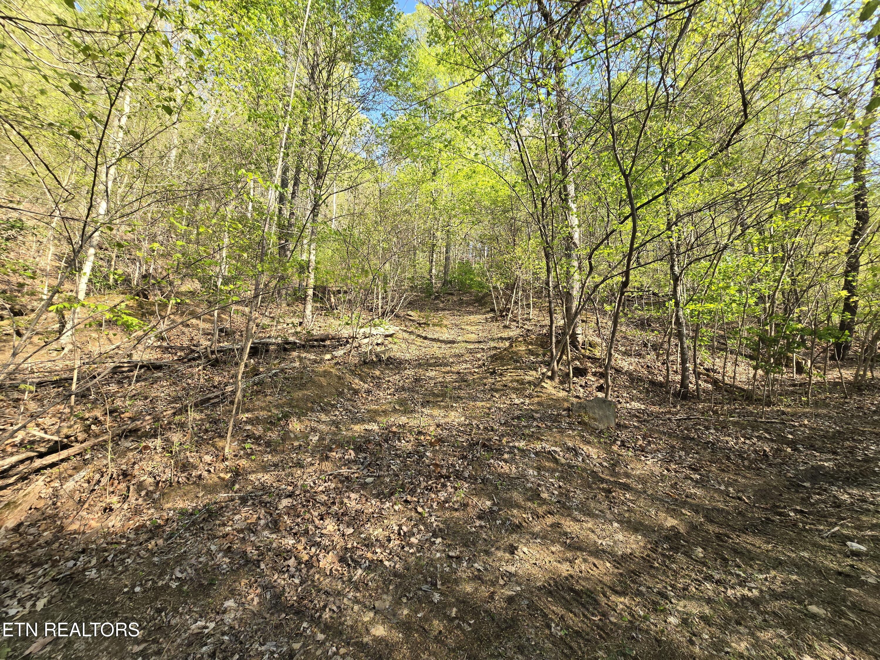 Tr-4 Boatmans Mountain-25.54ac Property Photo 28